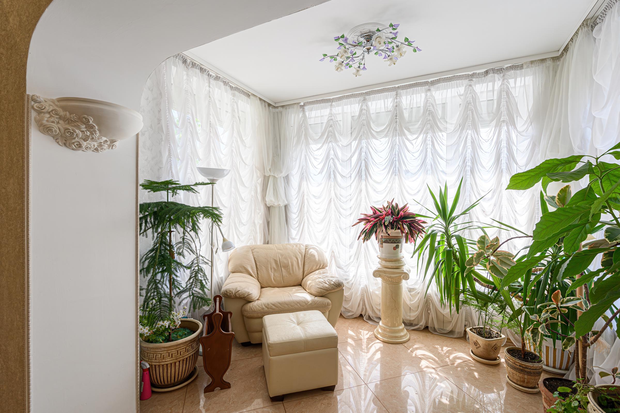 Cozy room with cream armchair, ottoman, and many potted plants | Source: Shutterstock