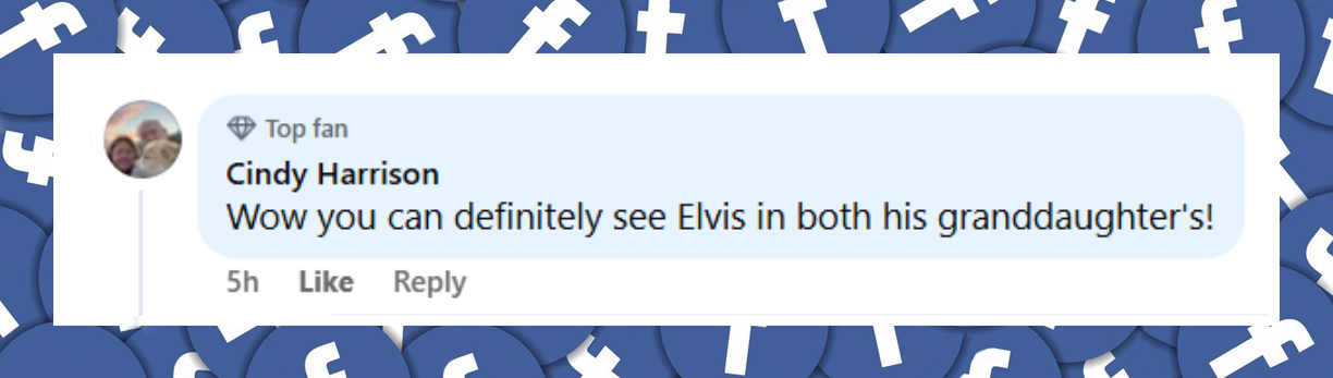 A netizen's comment about Priscilla Presley's recent photos featuring her and her granddaughters, Harper and Finley Lockwood, on November 2, 2025 | Source: Facebook/Priscilla Presley