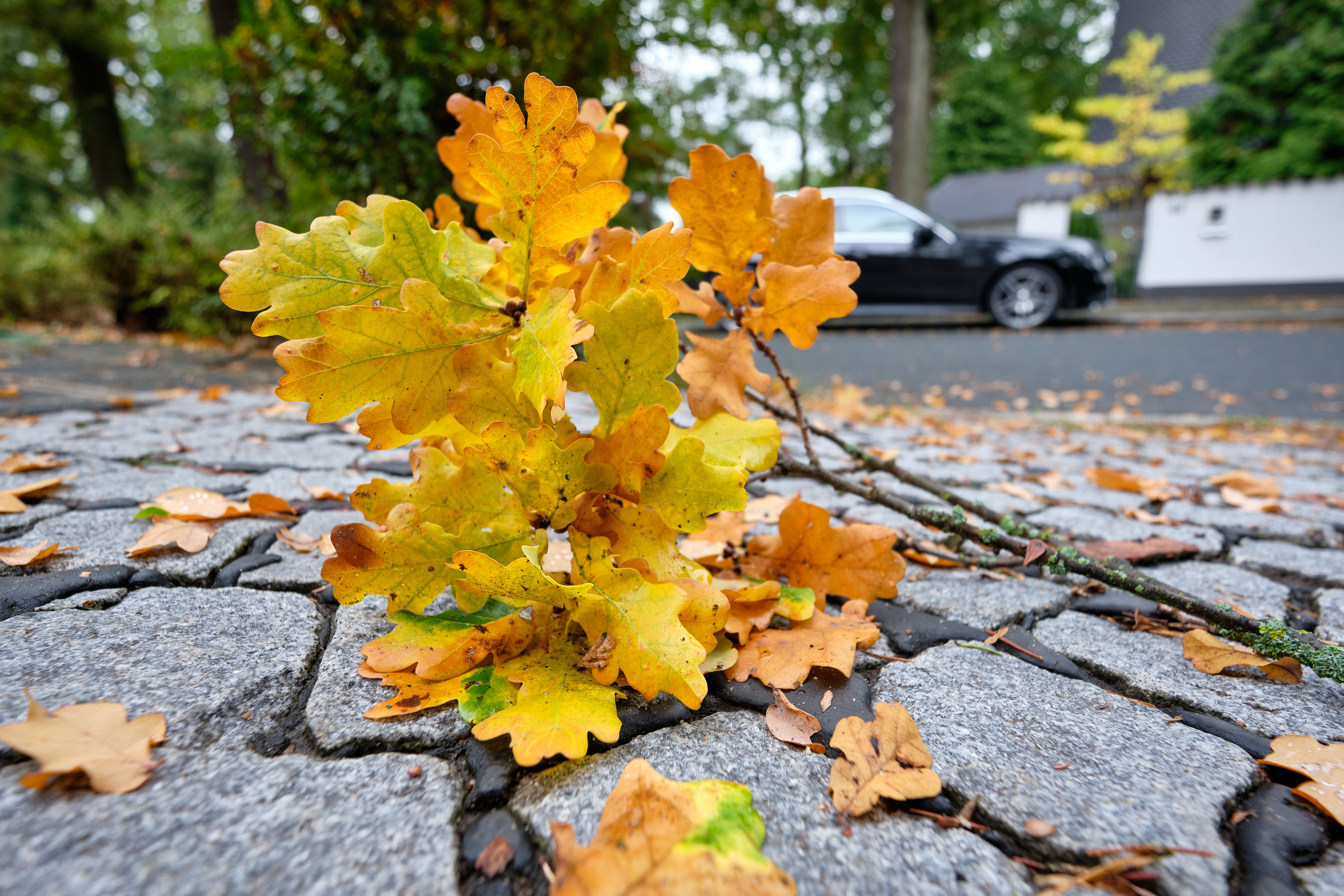 For illustration purposes only | Source: Shutterstock