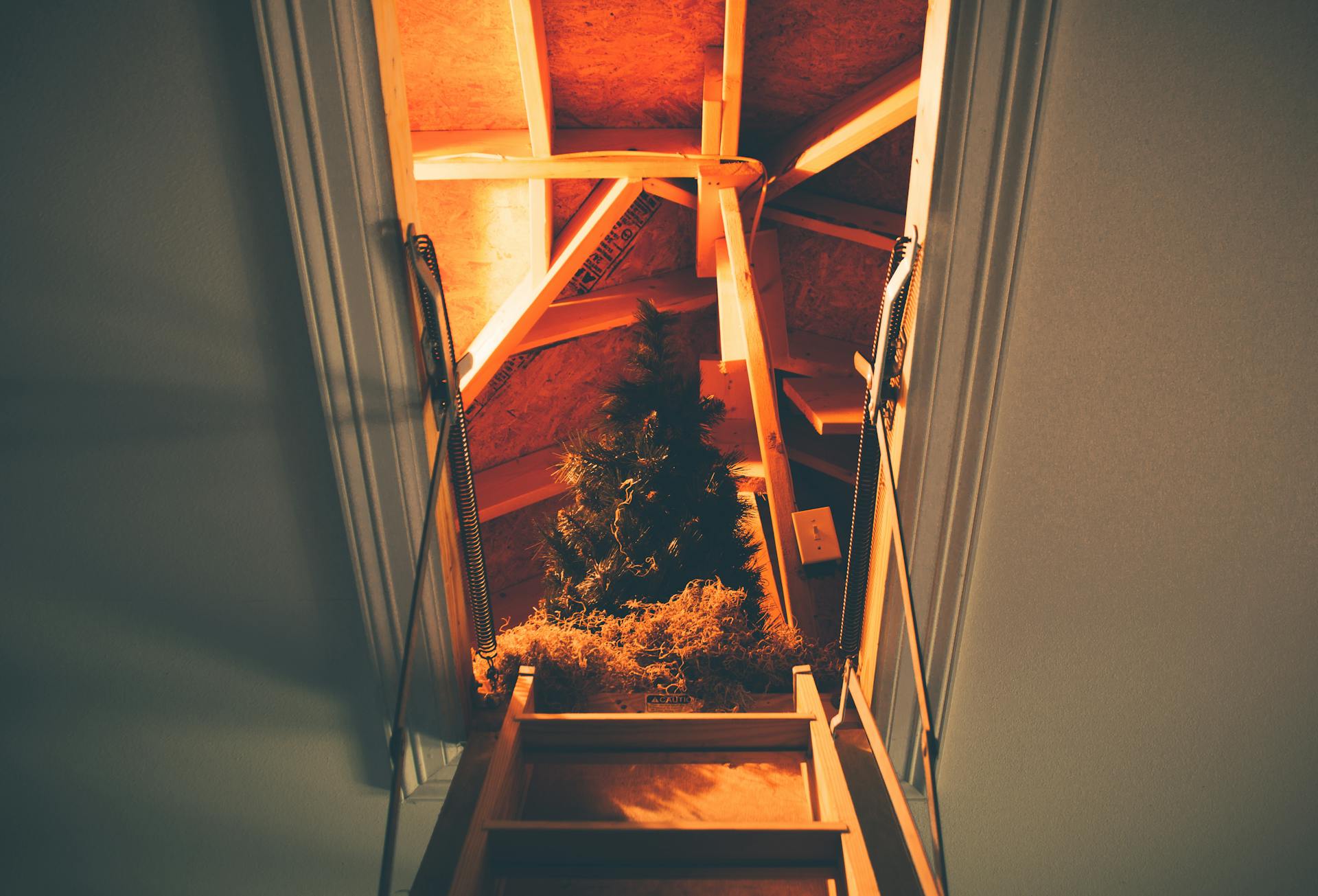 Stairs leading to the attic | Source: Pexels