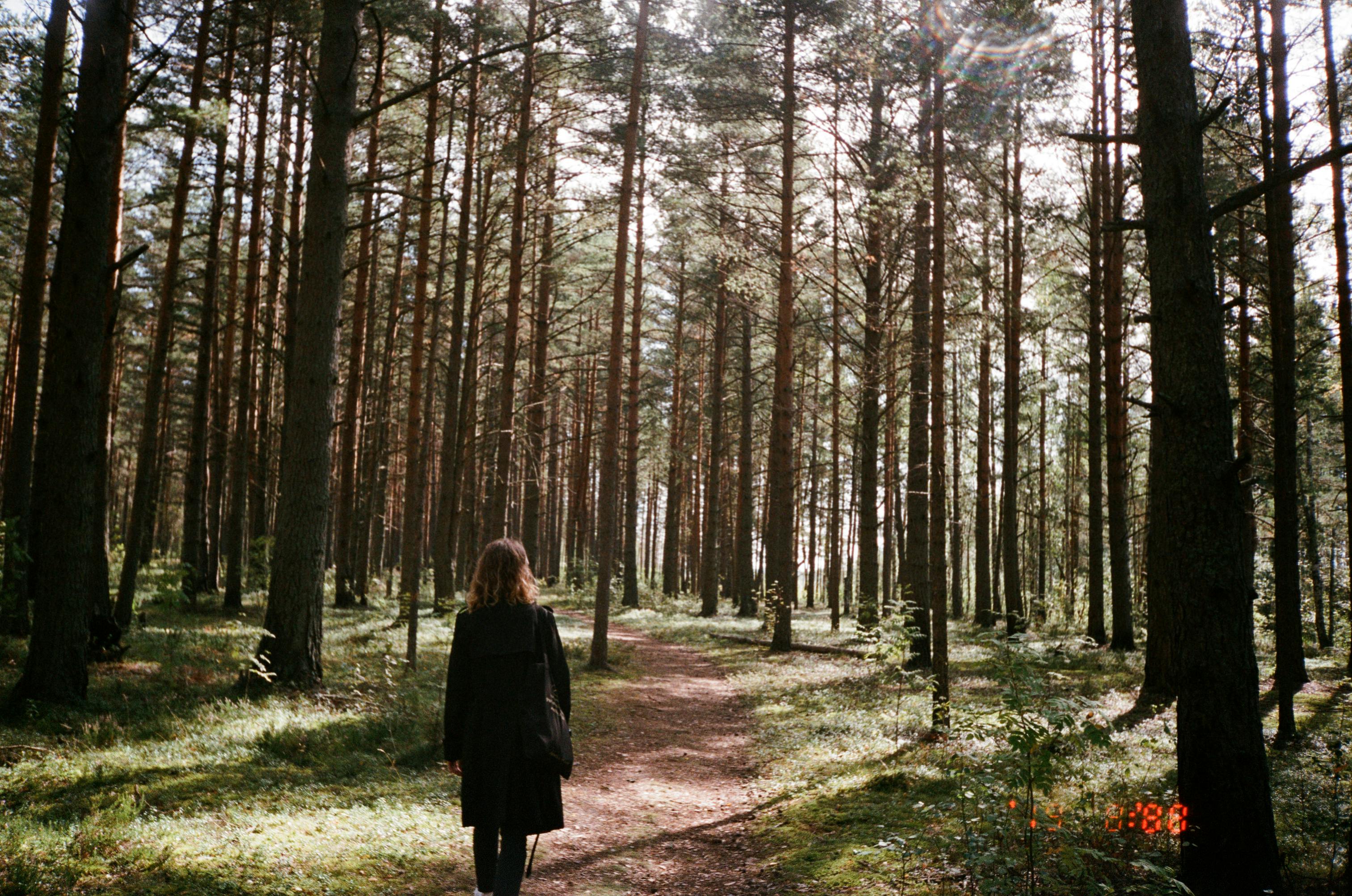 Woman in the woods | Source: Pexels