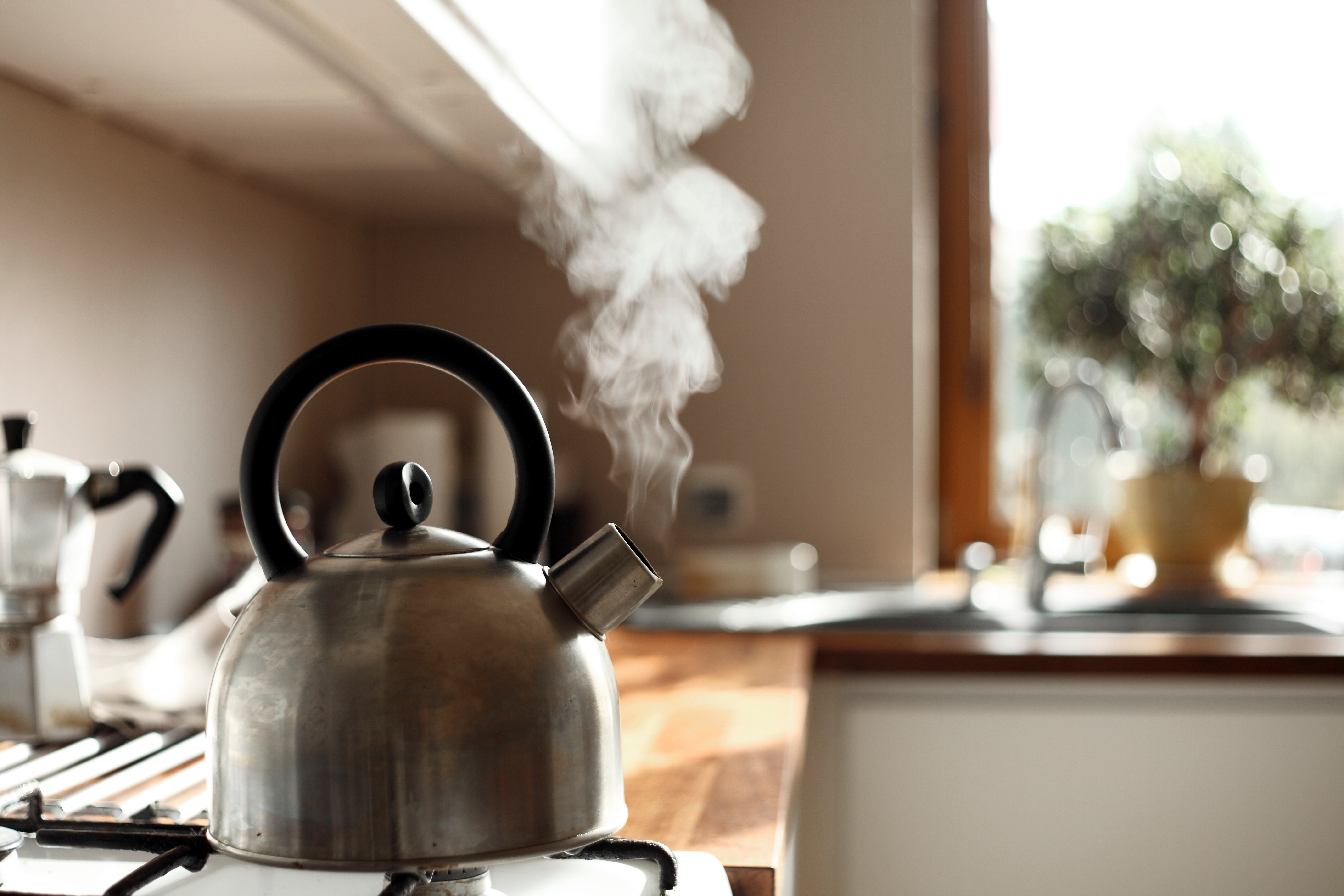 Kettle | Source: Shutterstock