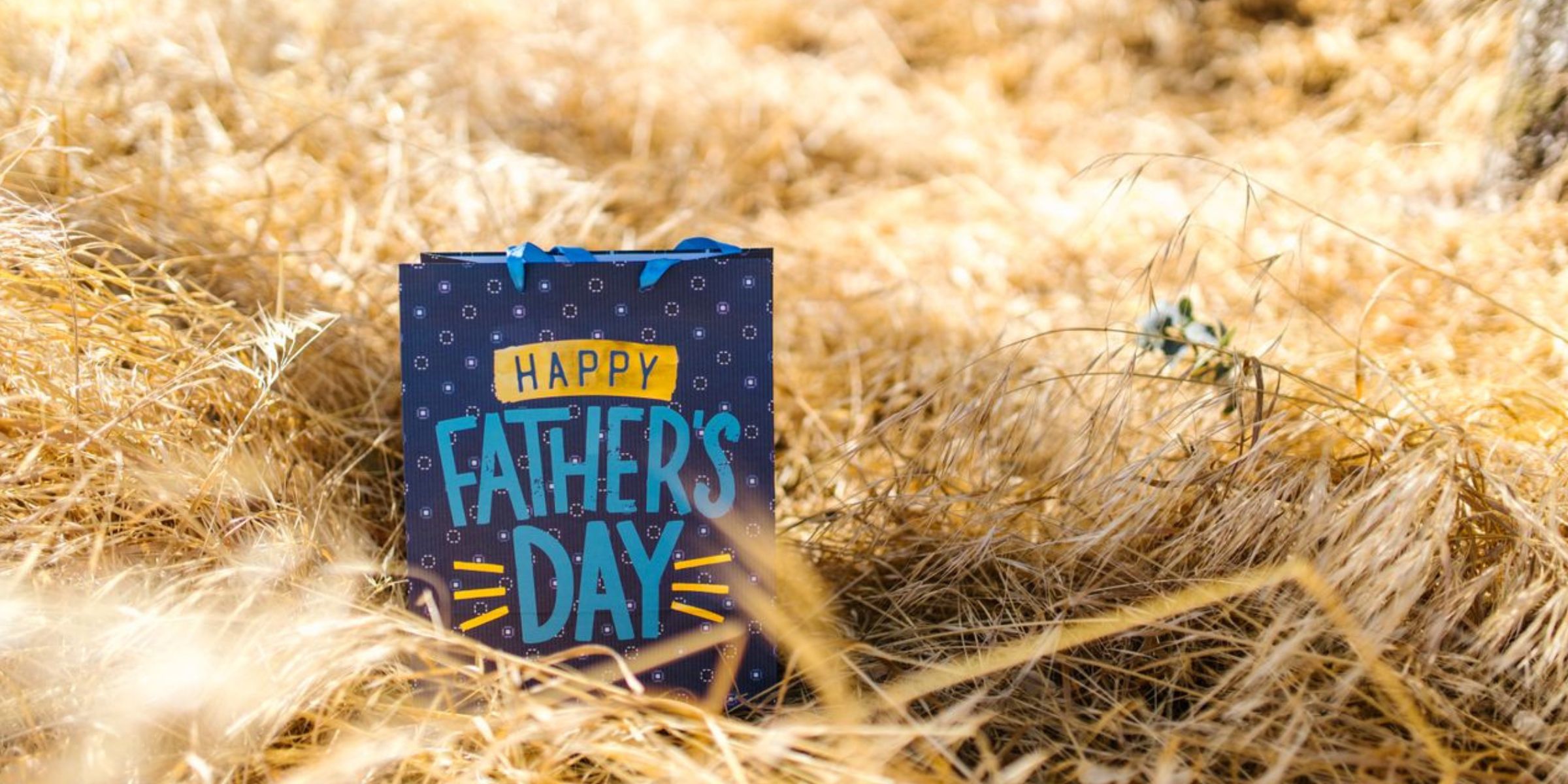 A Father's Day gift bag in a field of dry golden grass | Source: Pexels