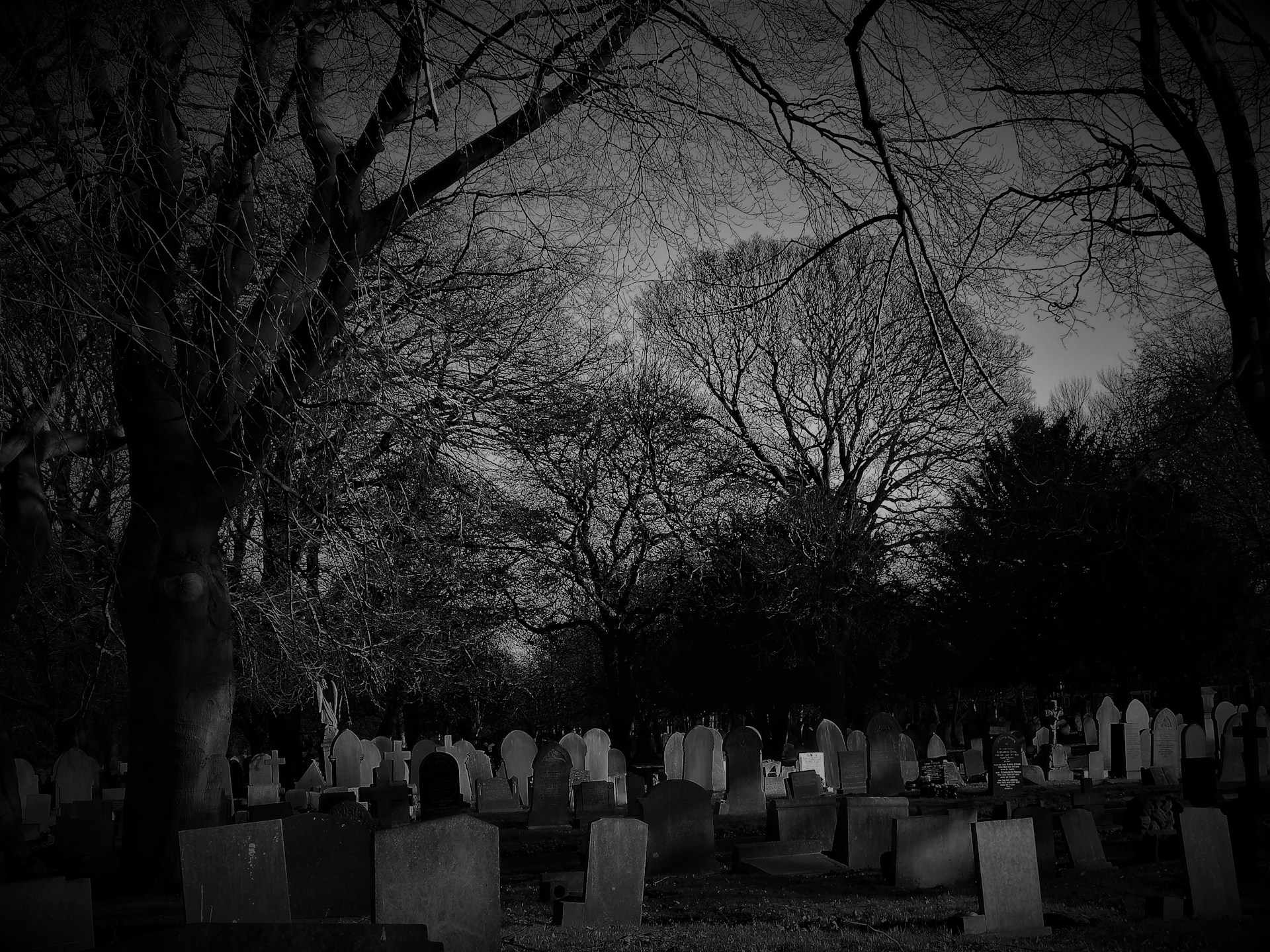 Grayscale shot of a cemetery | Source: Unsplash
