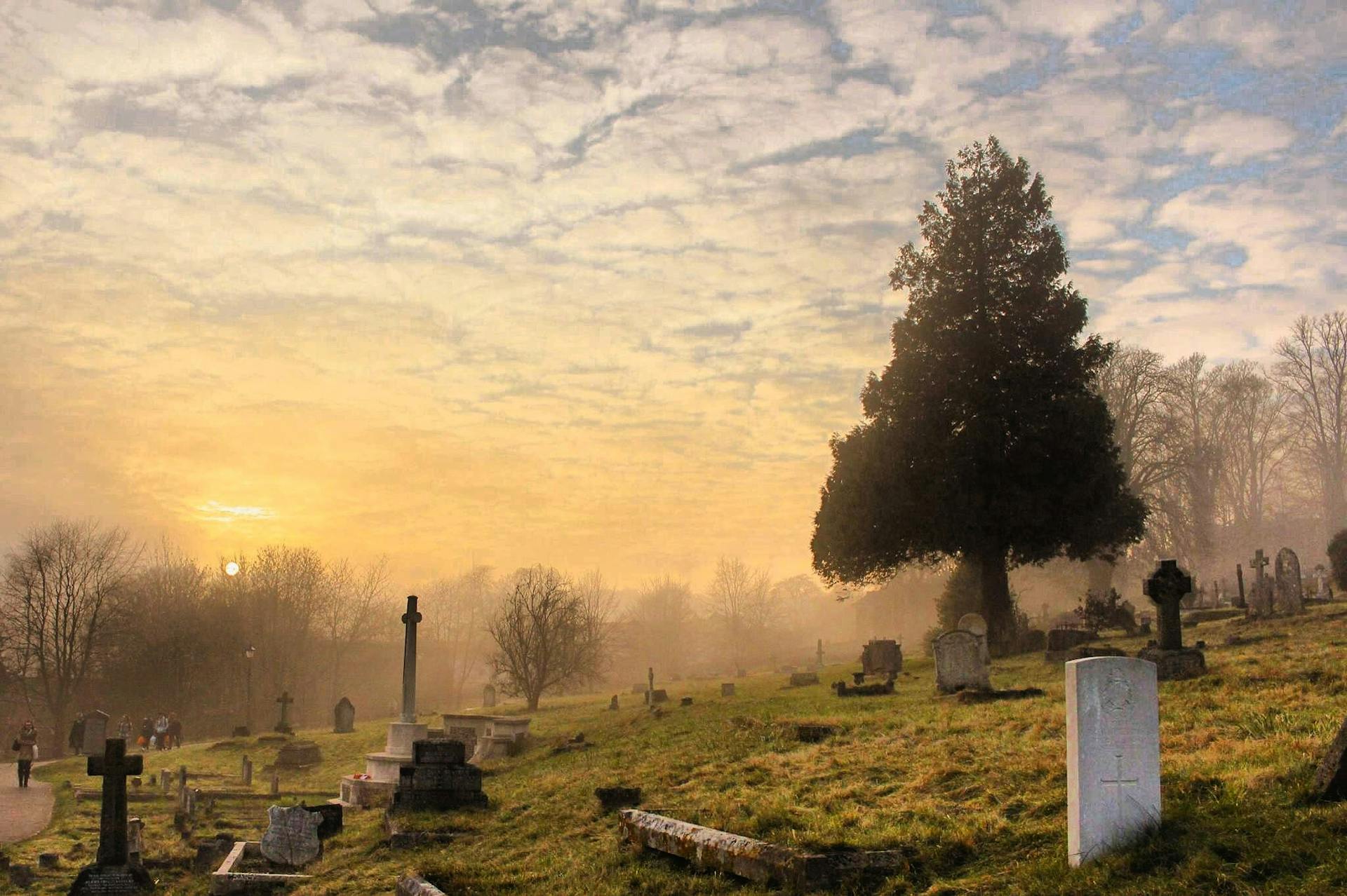 A misty cemetery | Source: Pexels