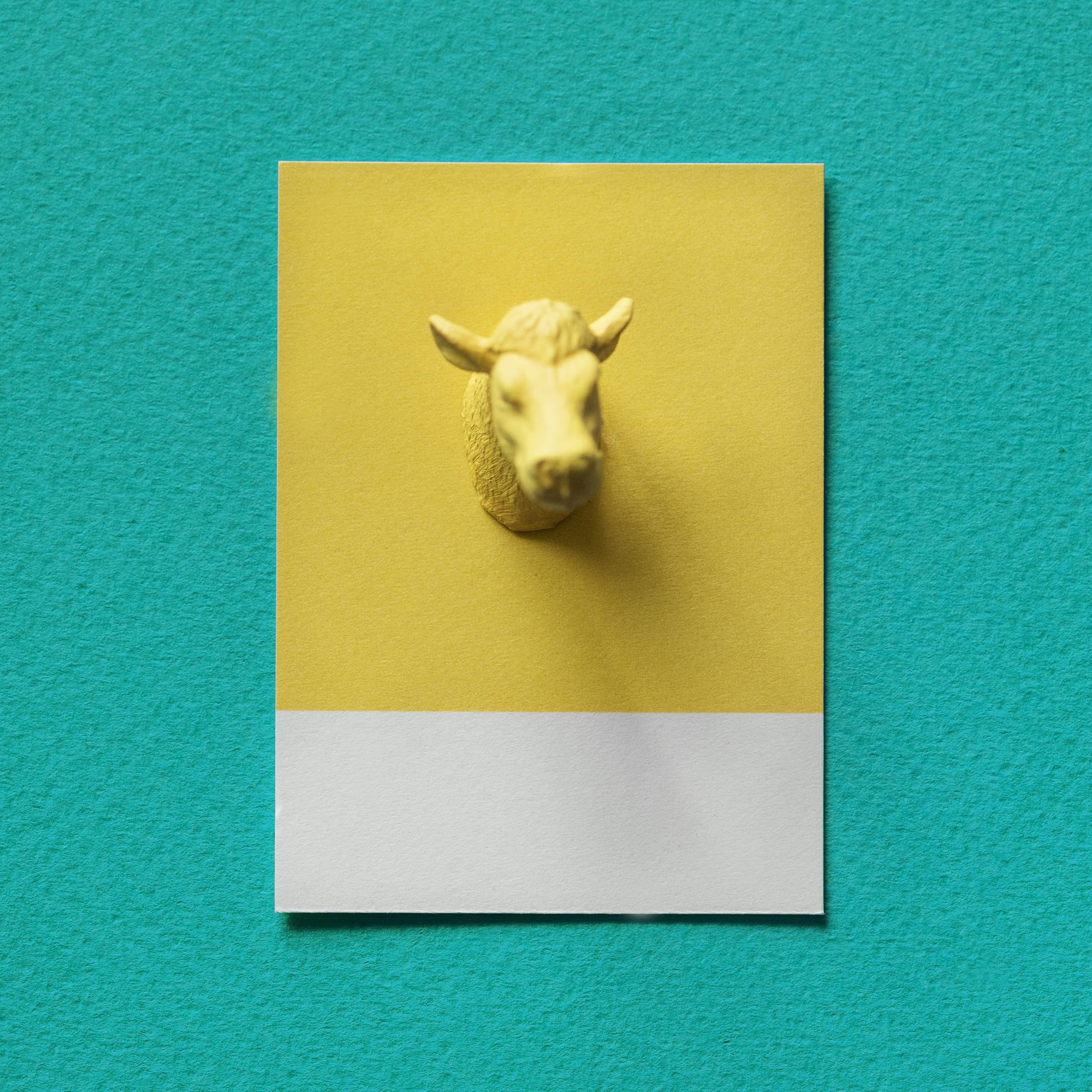A plastic sheep head with a note | Source: Freepik