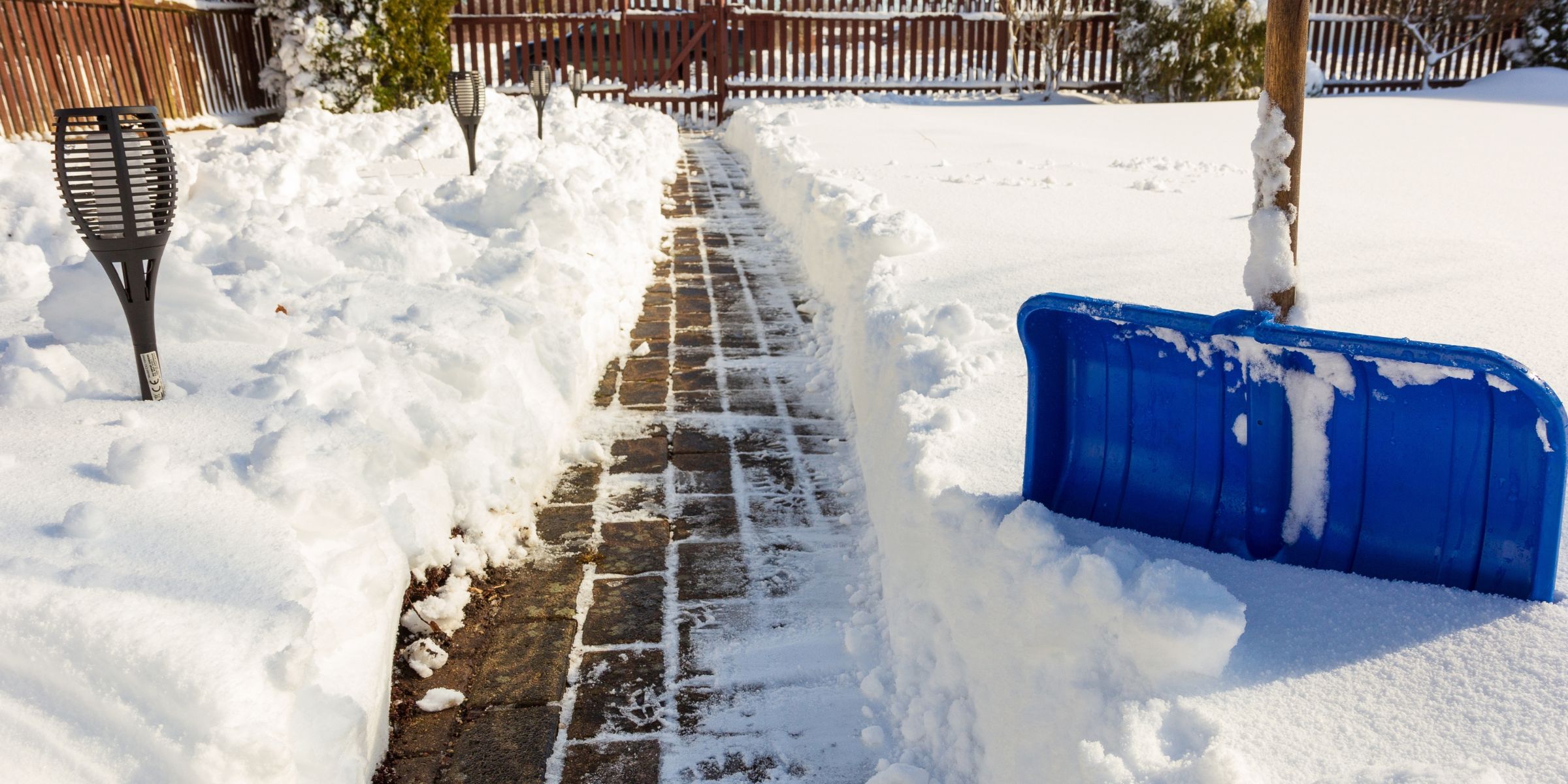 A cleared pathway in a front yard | Source: Shutterstock