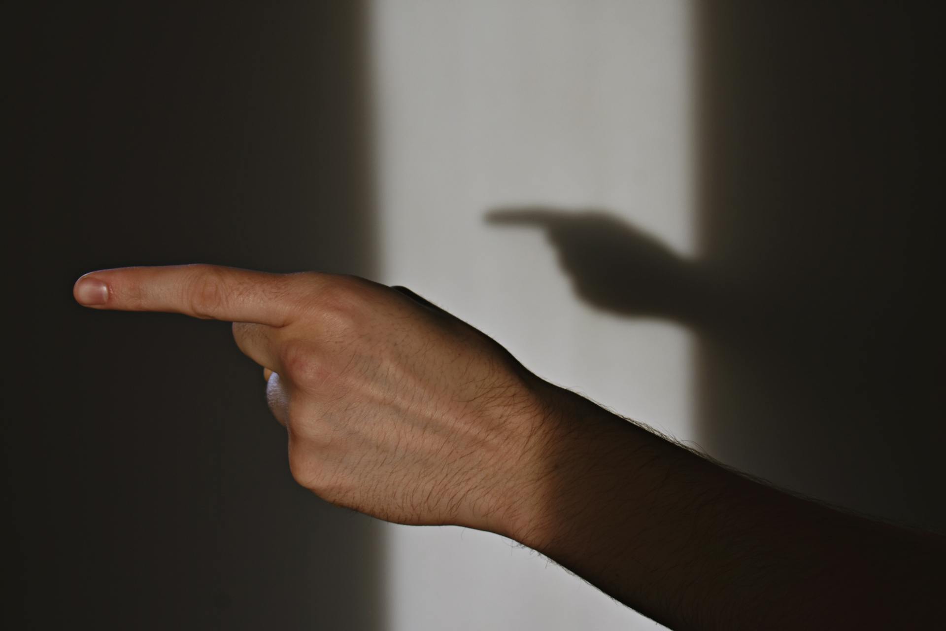 A man pointing his finger at someone | Source: Pexels