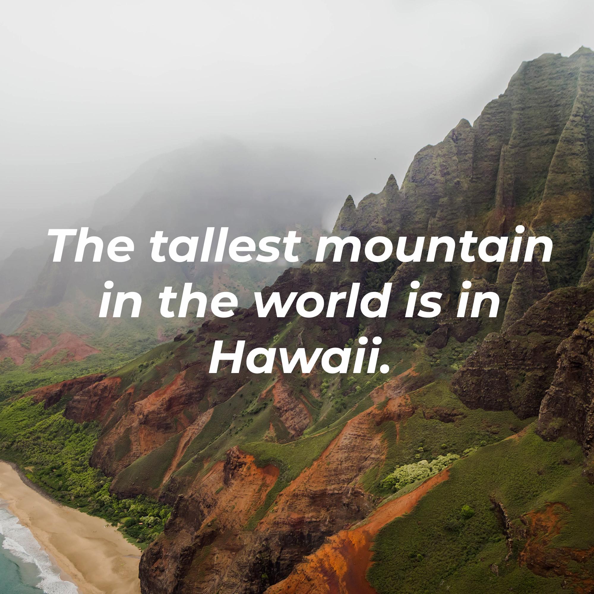 Mountains by the sea with the text overlay “The largest living organism is a honey fungus that extends beyond 2 miles.” | Image: Unsplash