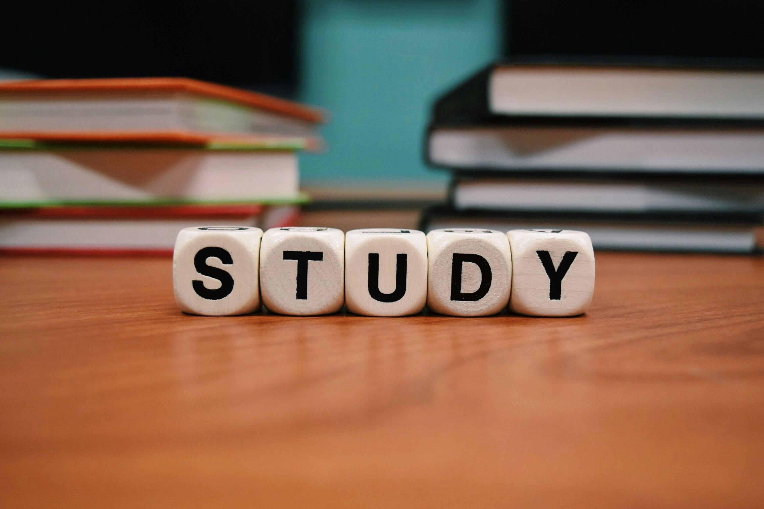 Wooden blocks spelling "STUDY" | Source: Pexels