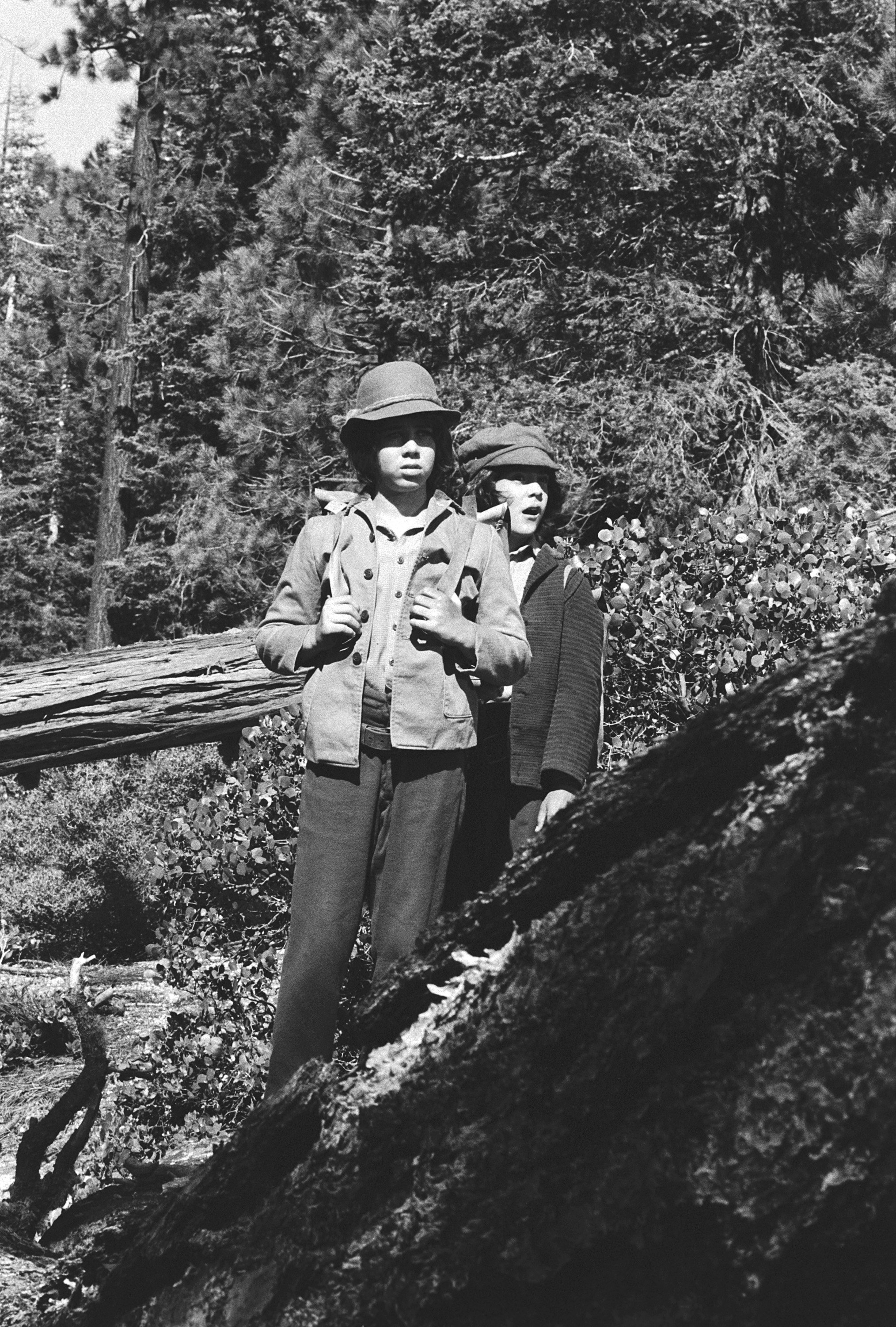 Patrick Labyorteaux as Andrew 'Andy' Garvey and Matthew Laborteaux as Albert Quinn Ingalls pictured during an episode of "Little House on the Prairie" in 1978 | Source: Getty Images