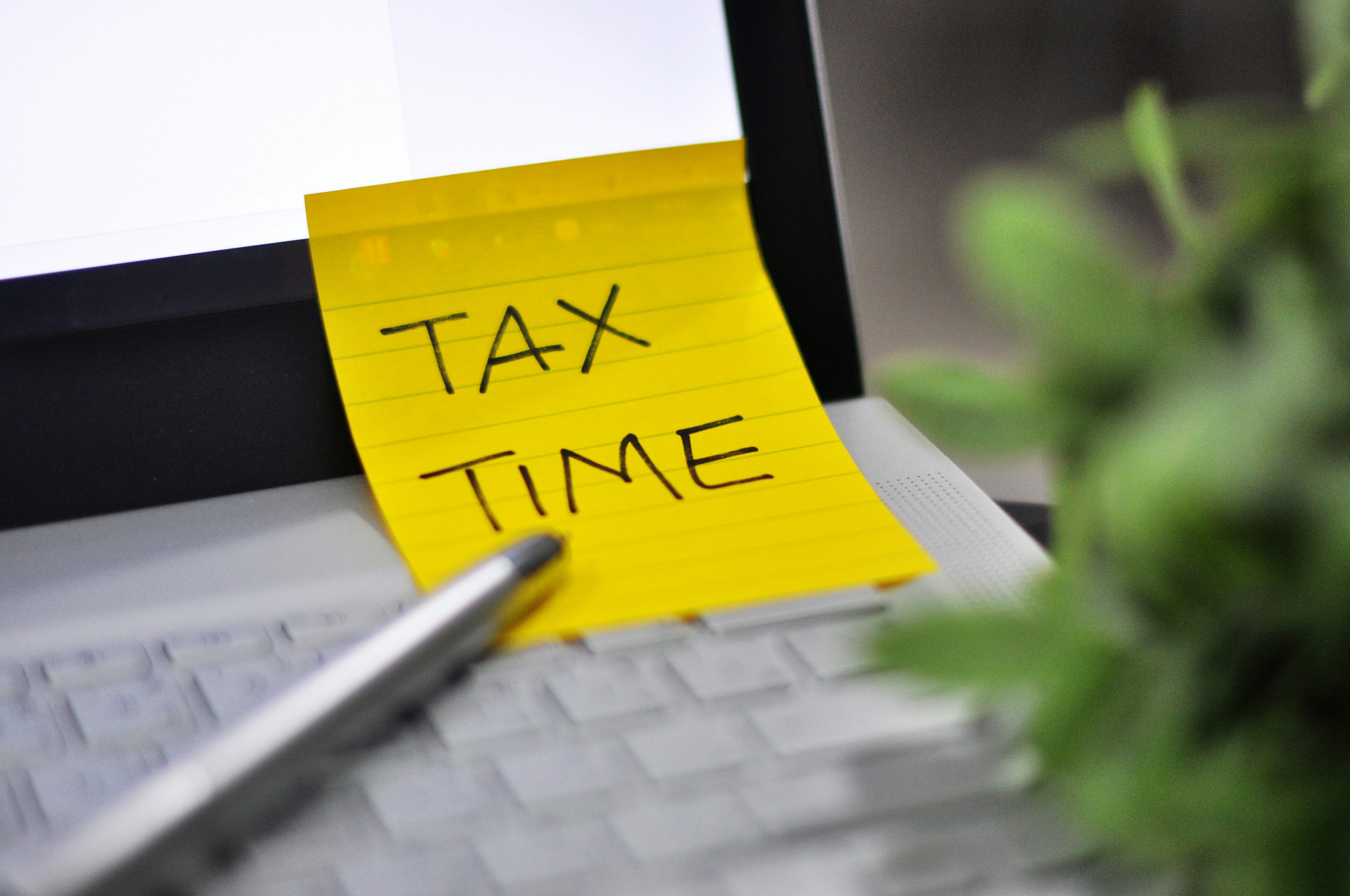 Top Tips for Navigating Tax Season Like a Pro