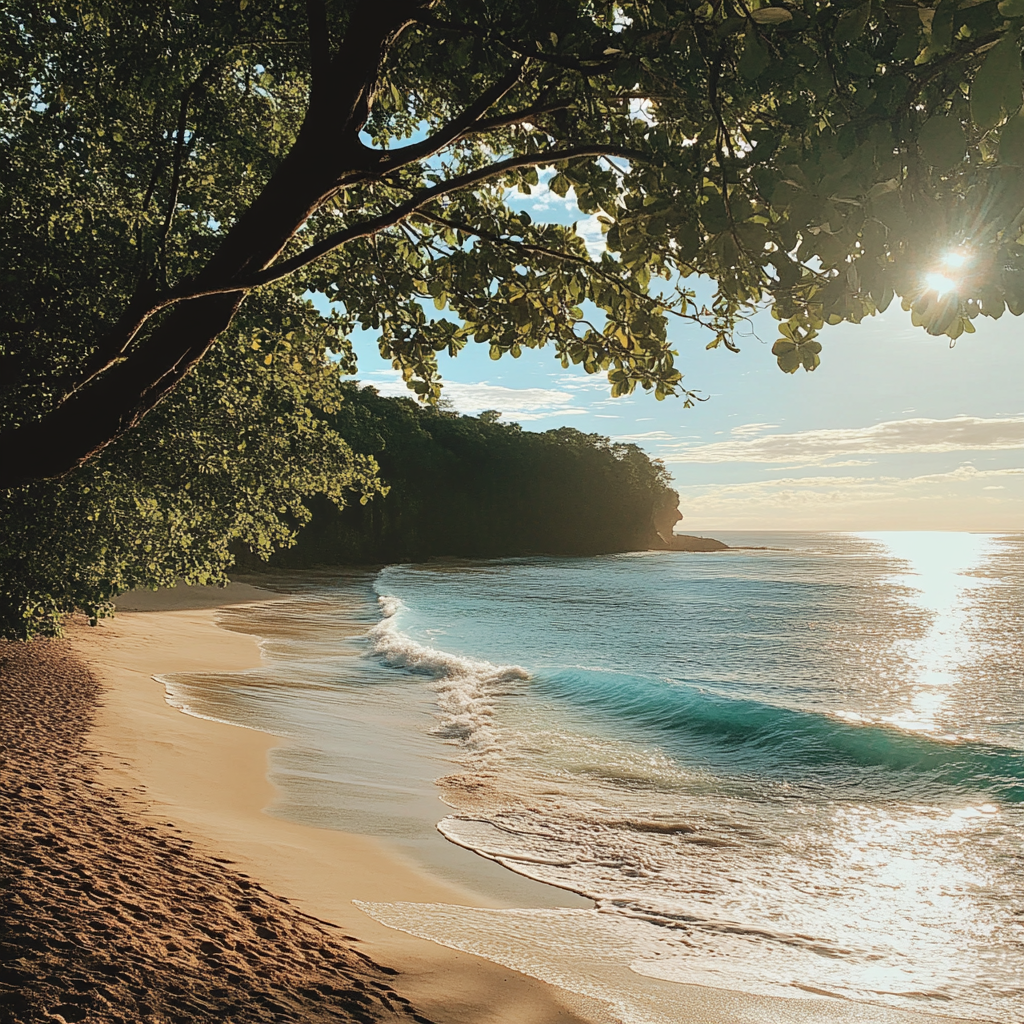 A beautiful beach | Source: no source