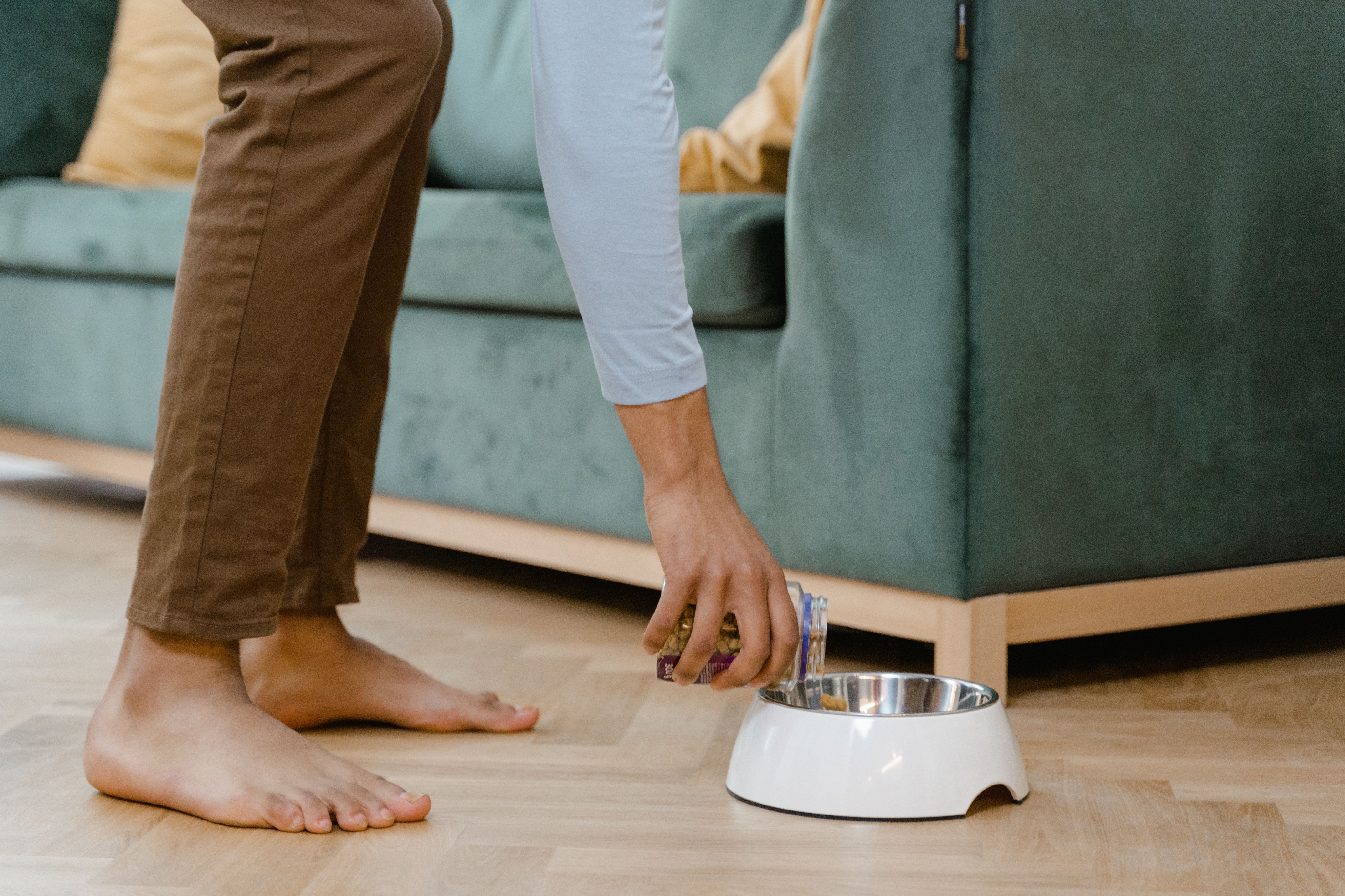The Best Ways To Organize Pet Supplies For A Tidy Home