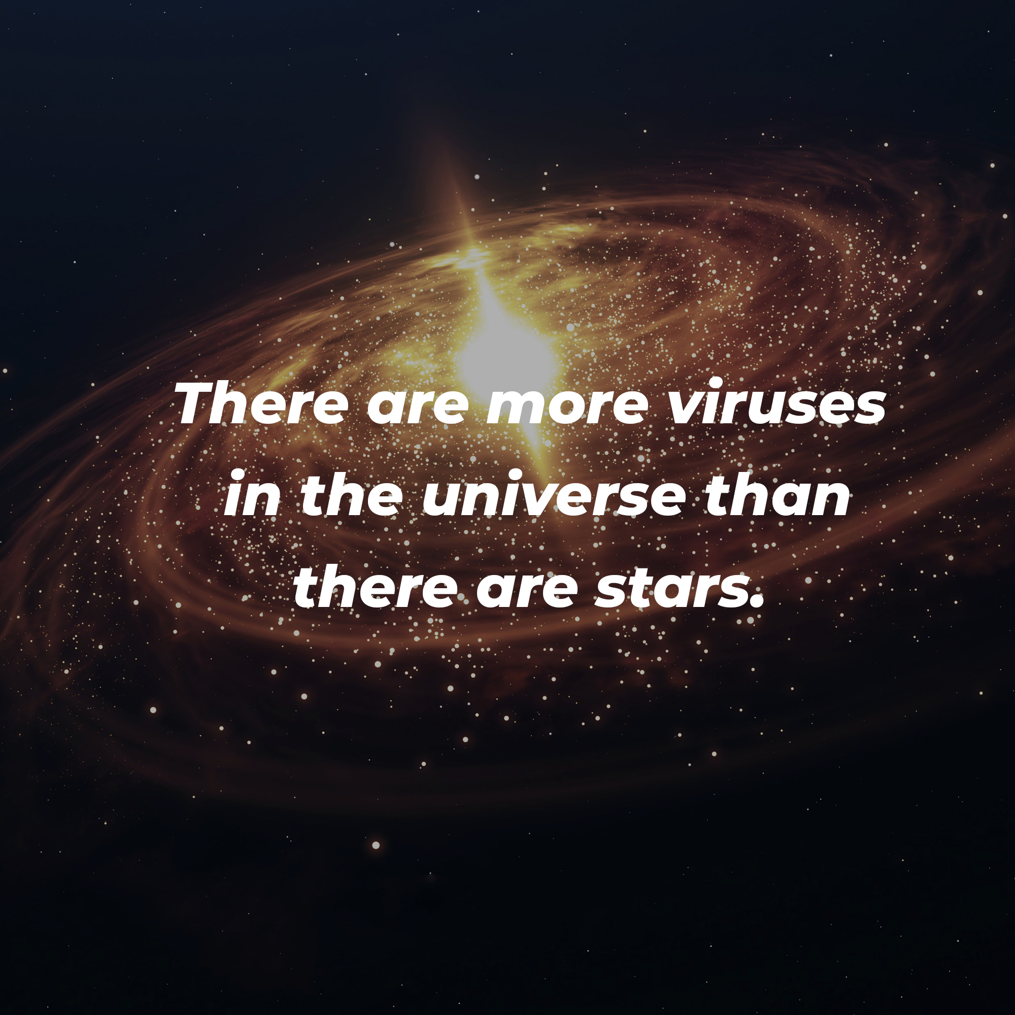 A  picture of a galaxy with the text overlay, “There are more viruses in the universe than stars” | Image: Unsplash