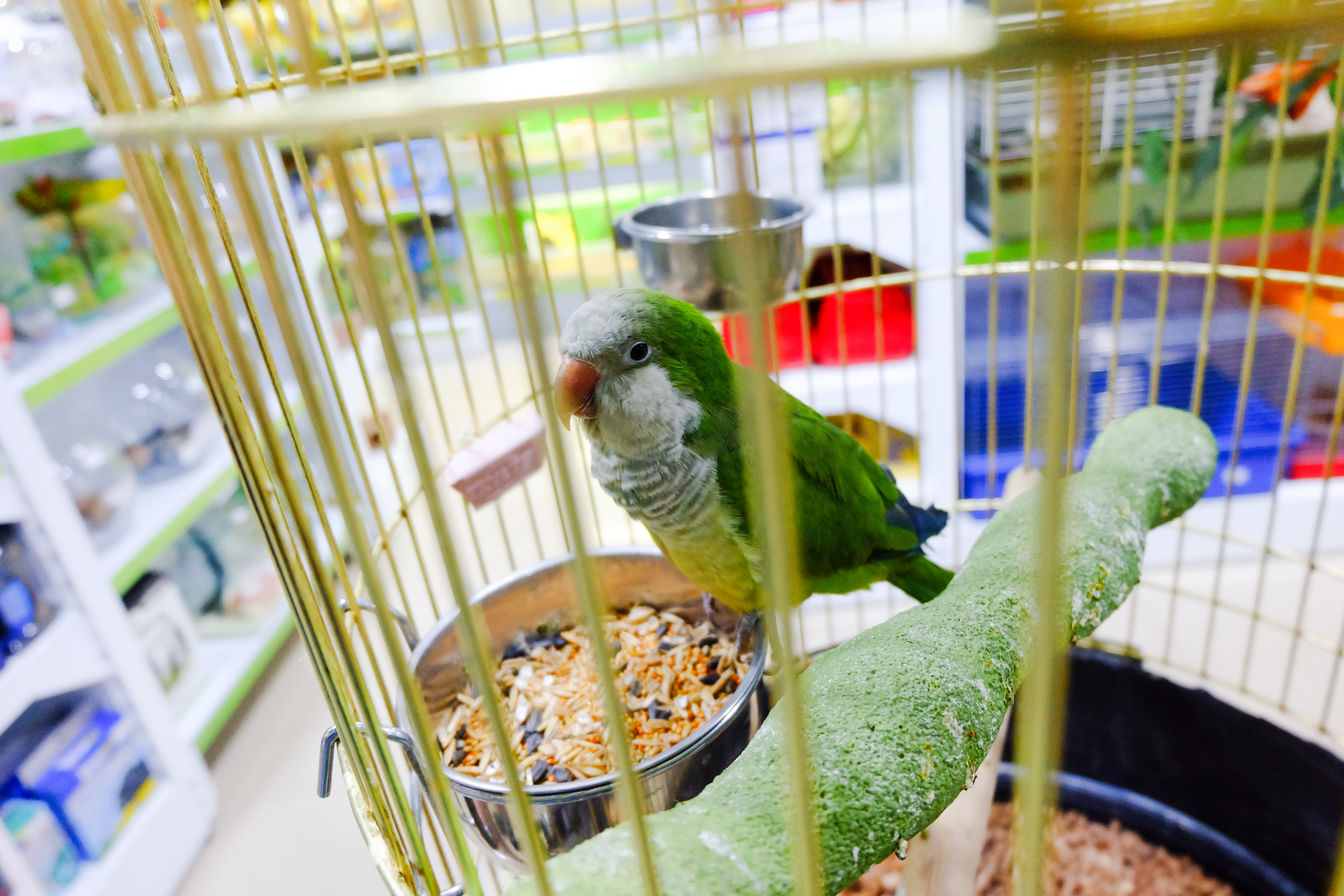 For illustration purposes only | Source: Shutterstock