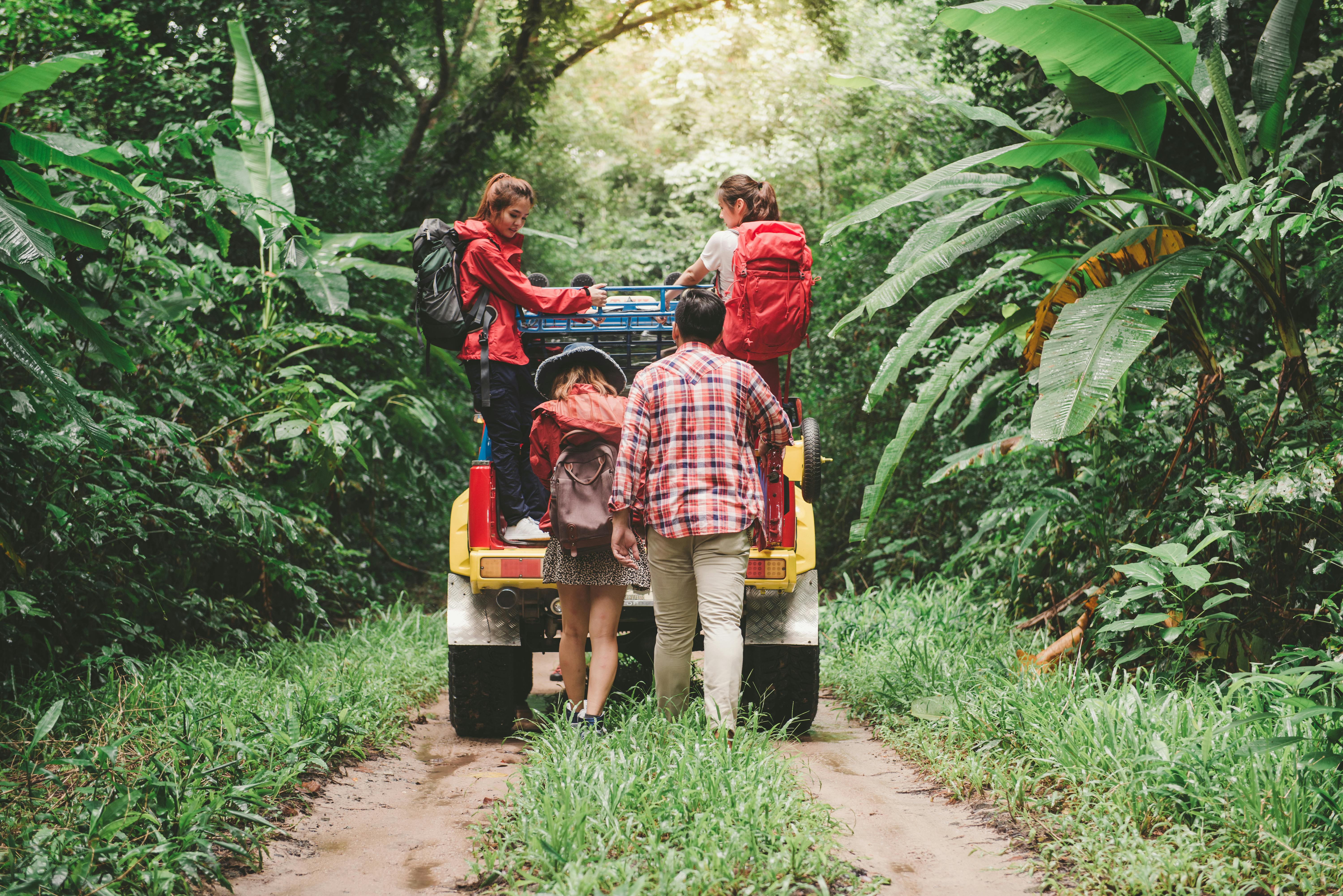 Group of friends in a jungle | Source: Pexels