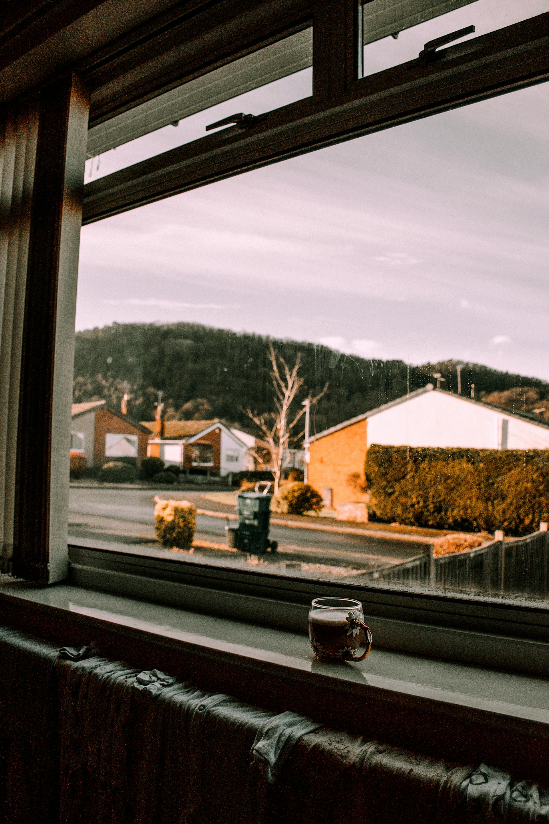 A window with a view of a peaceful suburban neighborhood | Source: Pexels