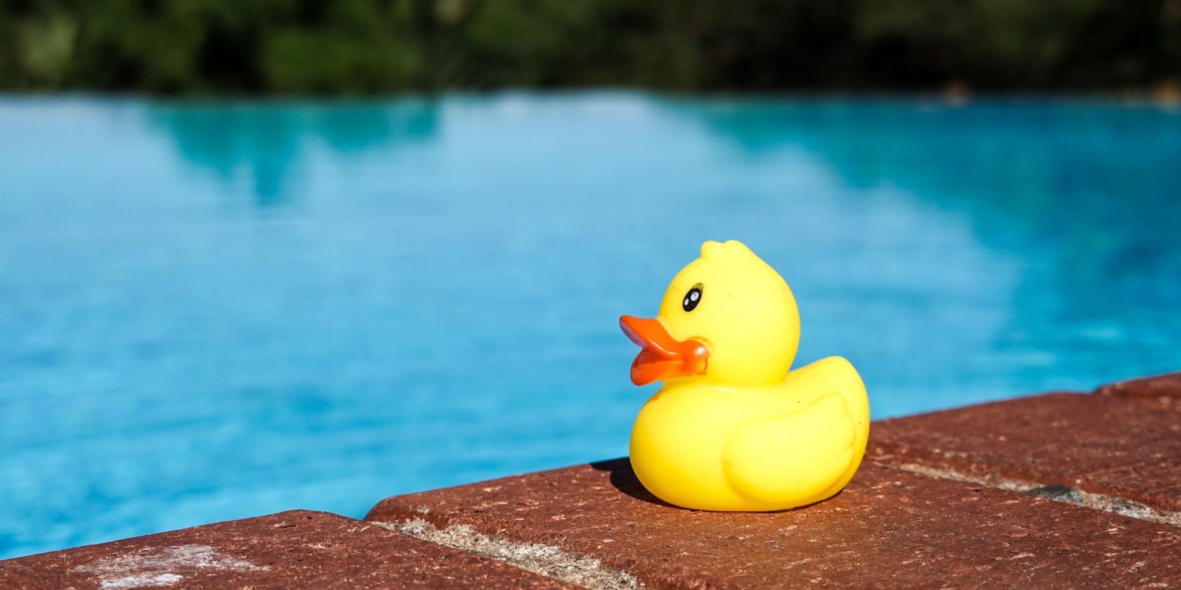 A small yellow rubber duck on the edge of a swimming pool | Source: Pexels