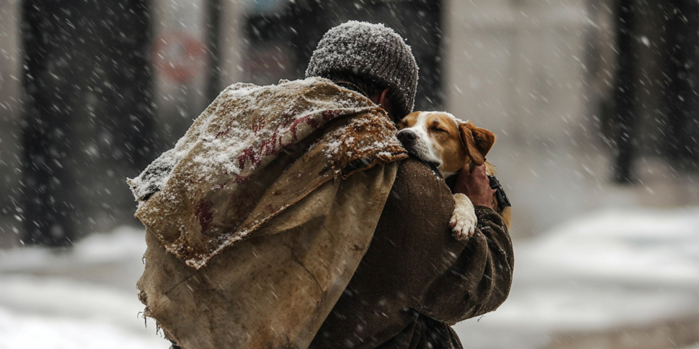 A man holding a dog in the snow | Source: No source