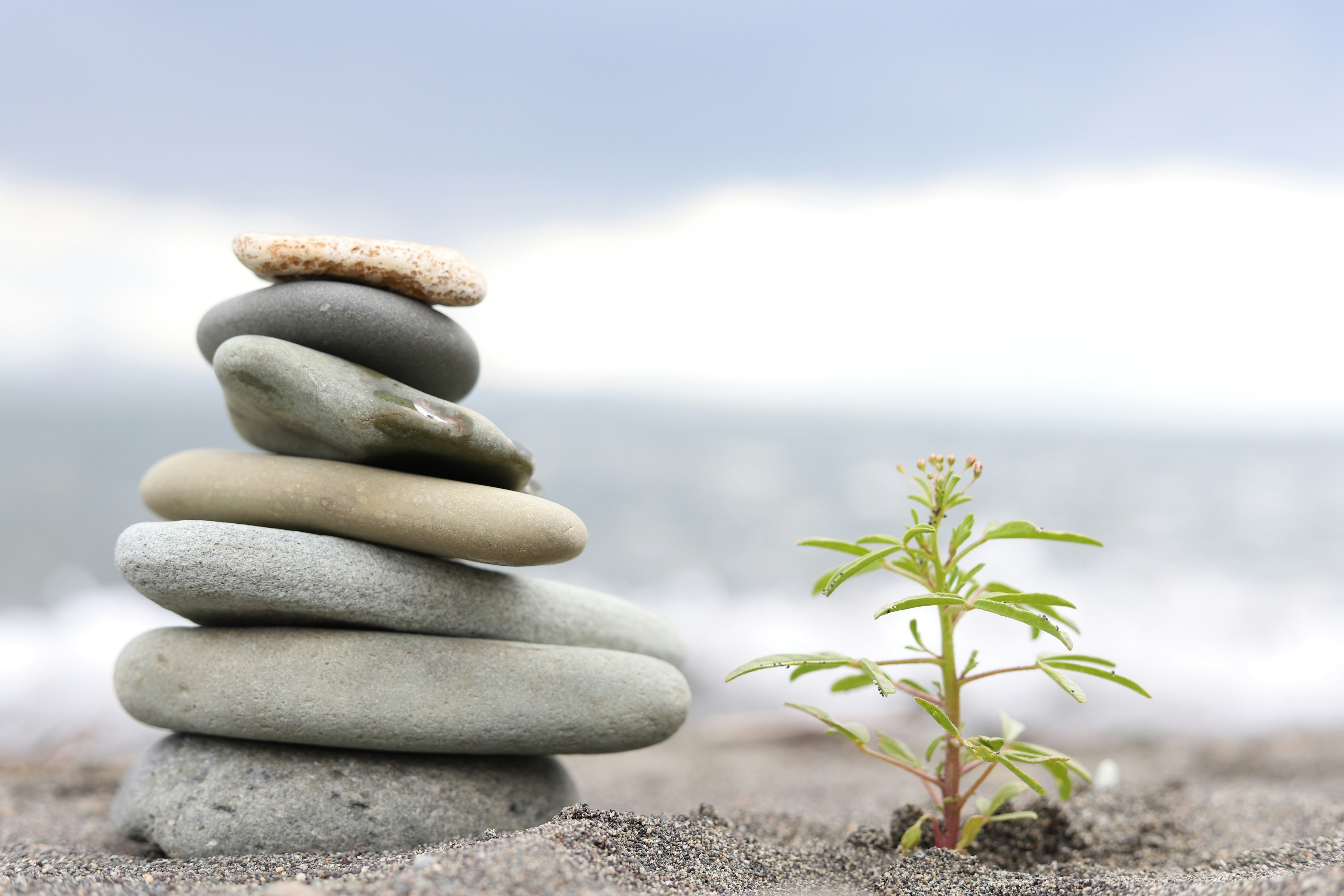 6 Essential Practices for Building Lasting Resilience Through Life's Transitions