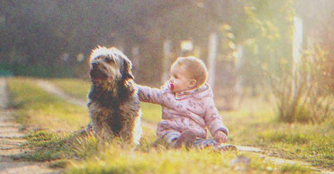 A dog sitting next to a baby | Source: Shutterstock