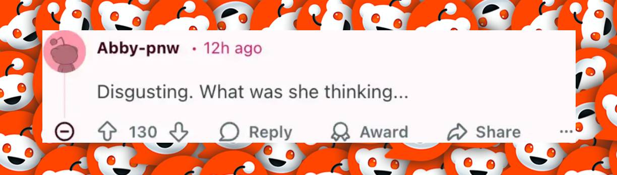 A netizen comment dated February 25, 2026. | Source: Reddit/r/Fauxmoi