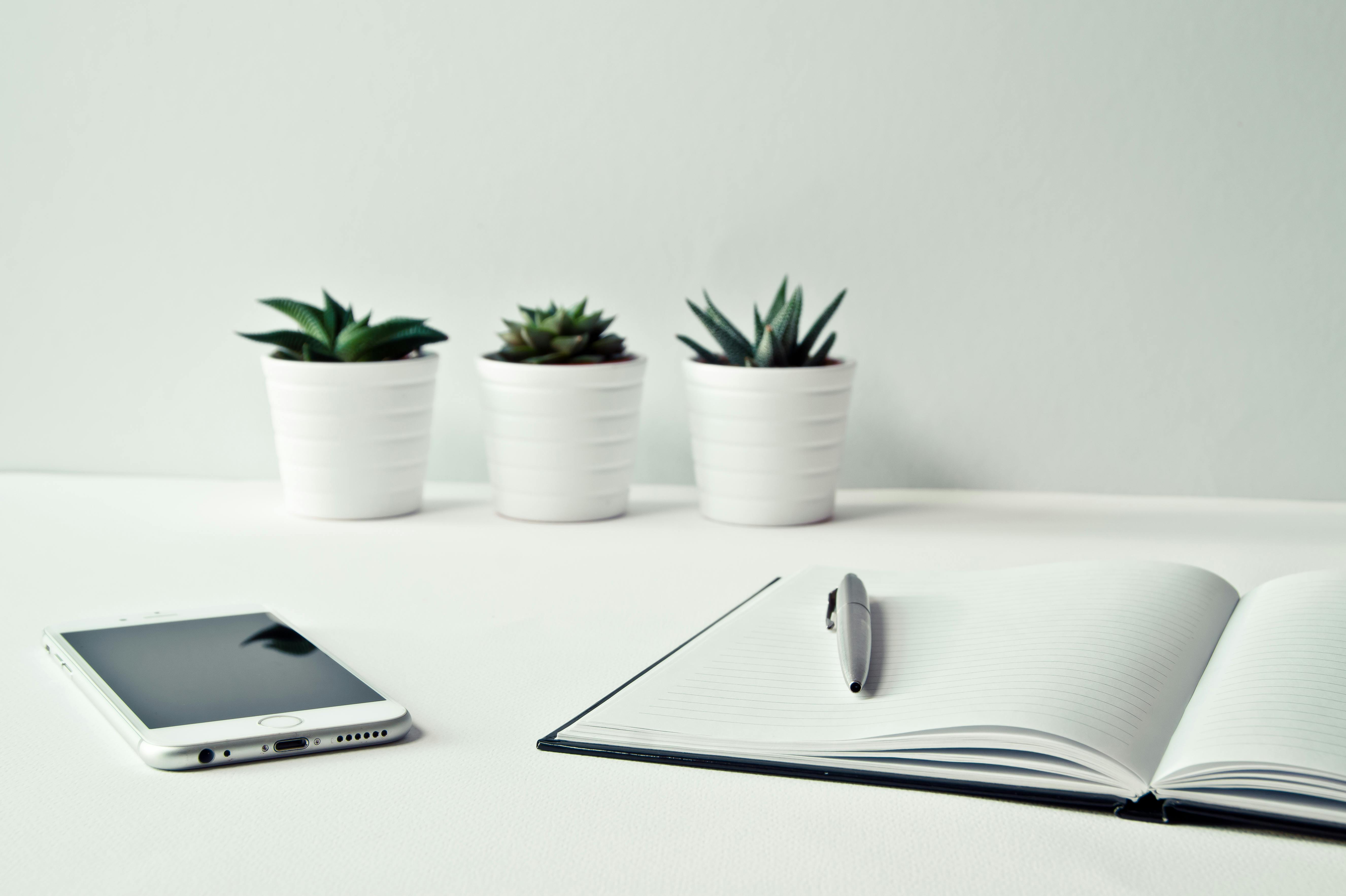 Three white ceramic pots with green leaves next to an open notebook with a pen on top | Source: Pexels
