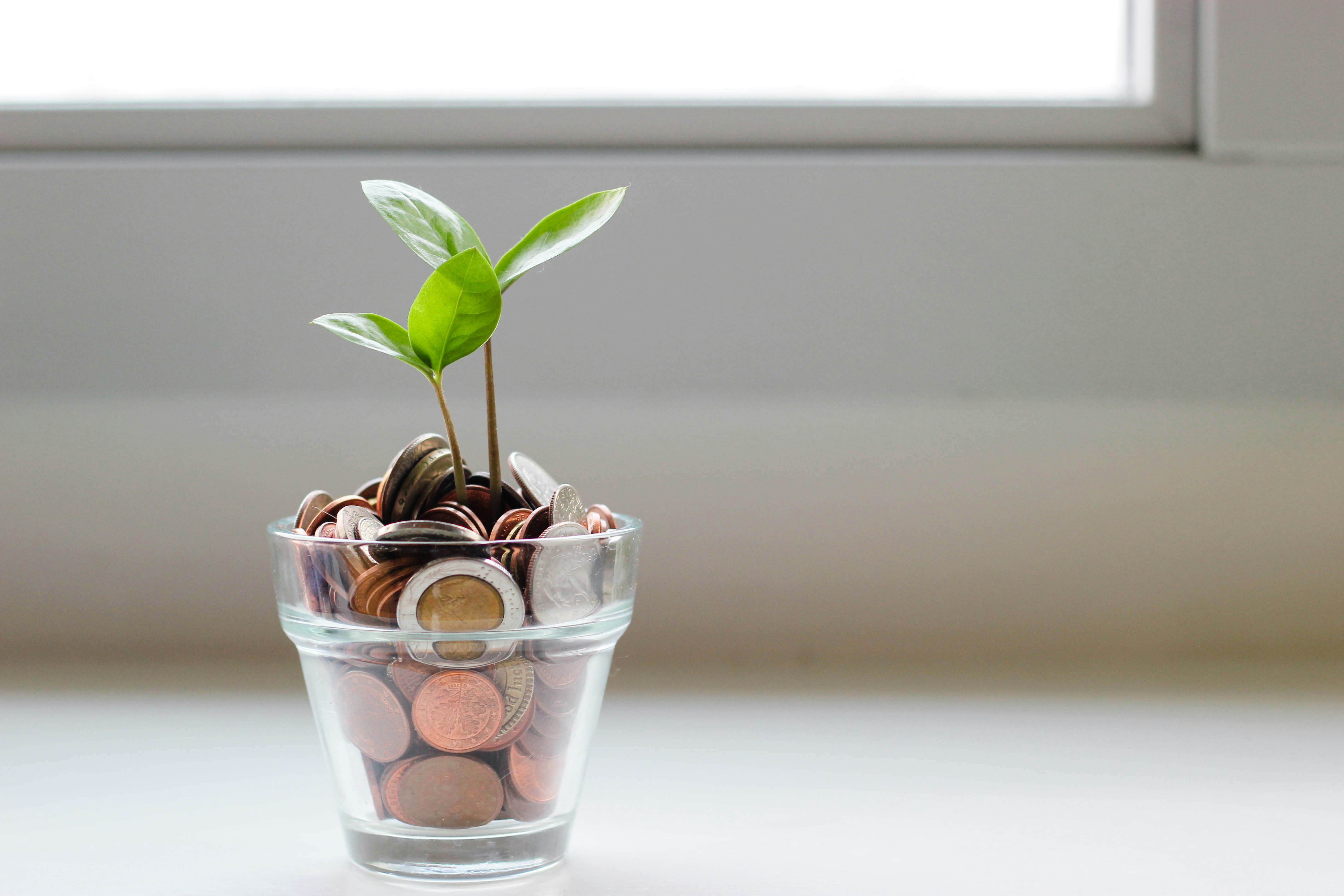 7 Effective Ways to Maximize Returns With Impact Investing