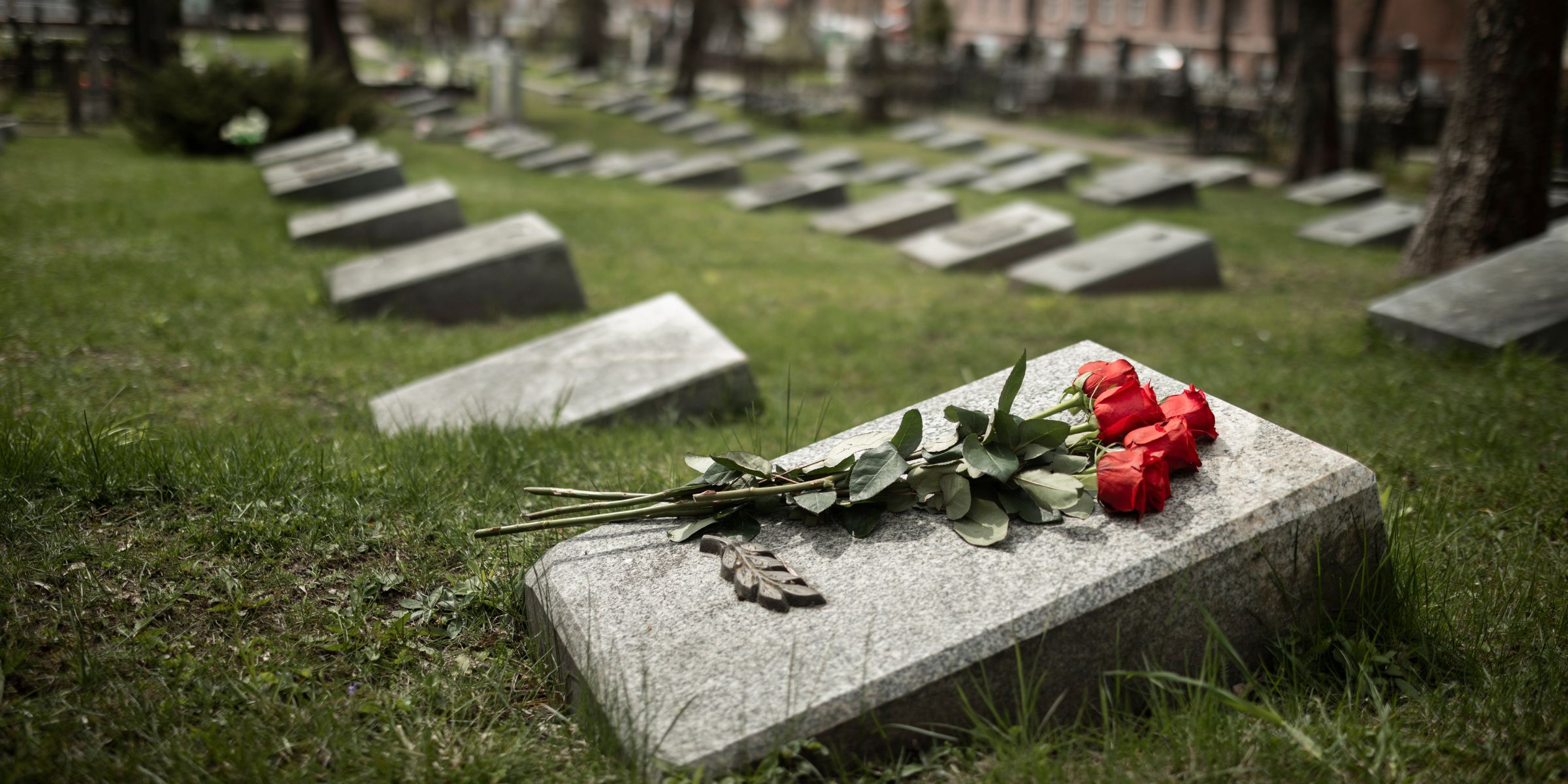 Roses on a gravestone | Source: No source