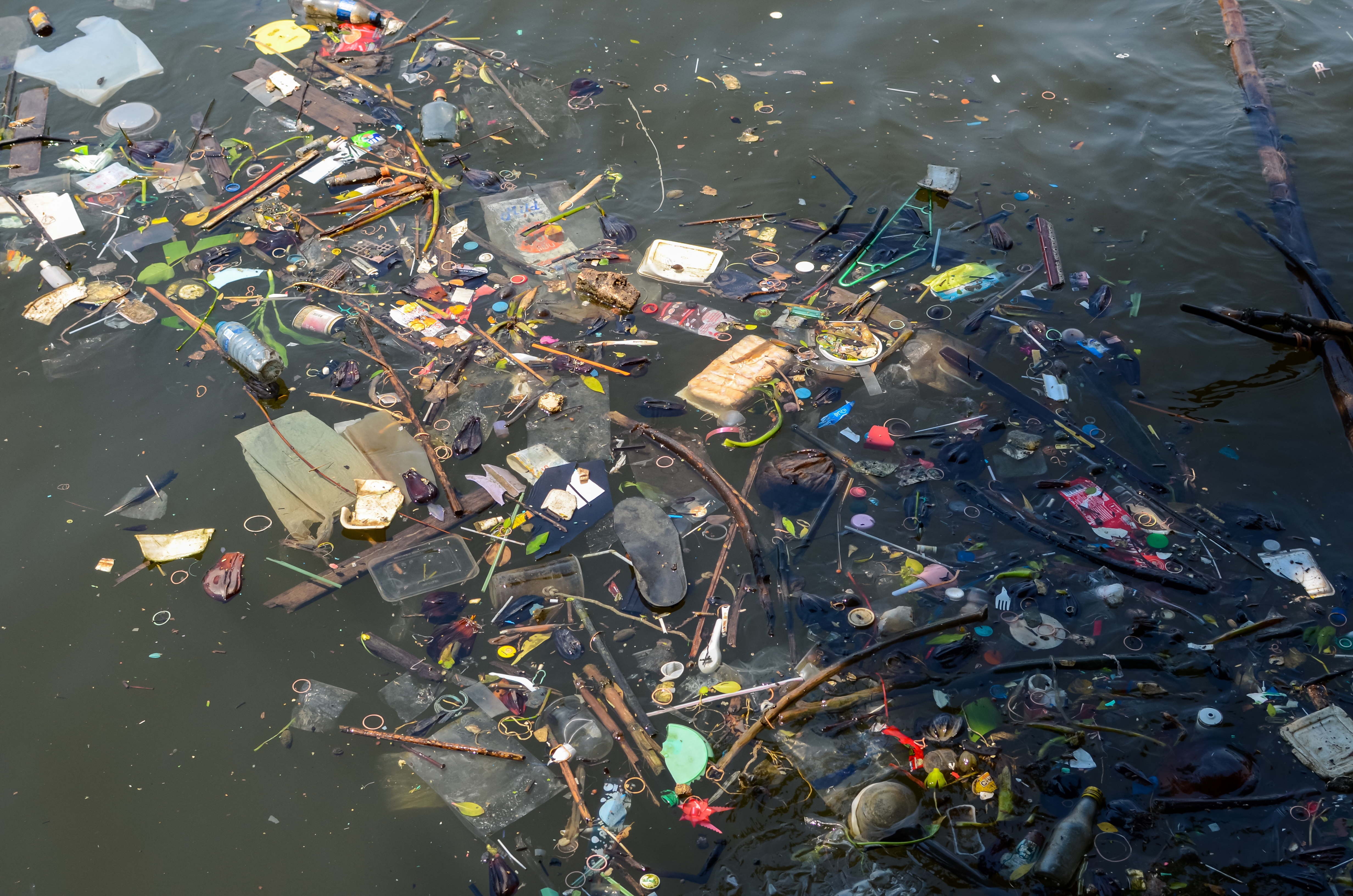 For illustration purposes only | Source: Shutterstock