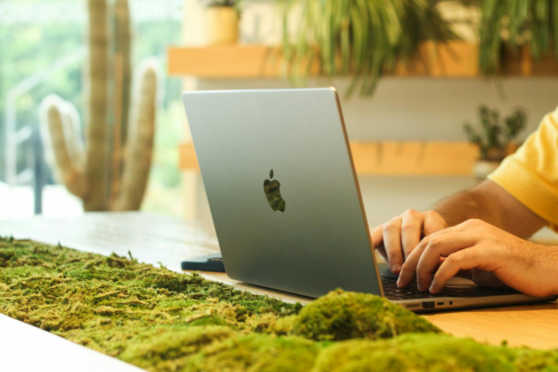A man using his laptop | Source: No source