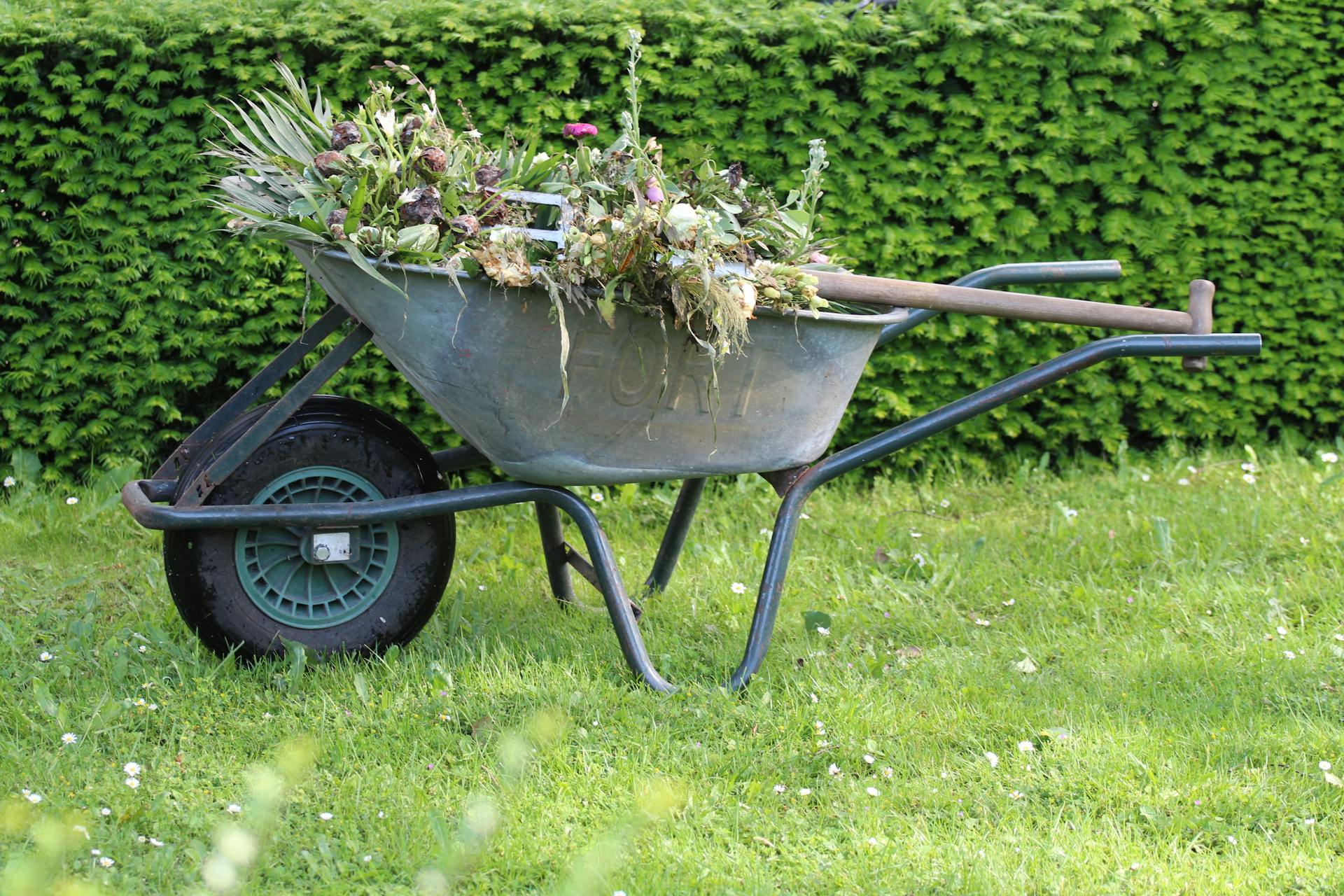 A wheelbarrow filled with pruned foliage and garden tools | Source: Pexels