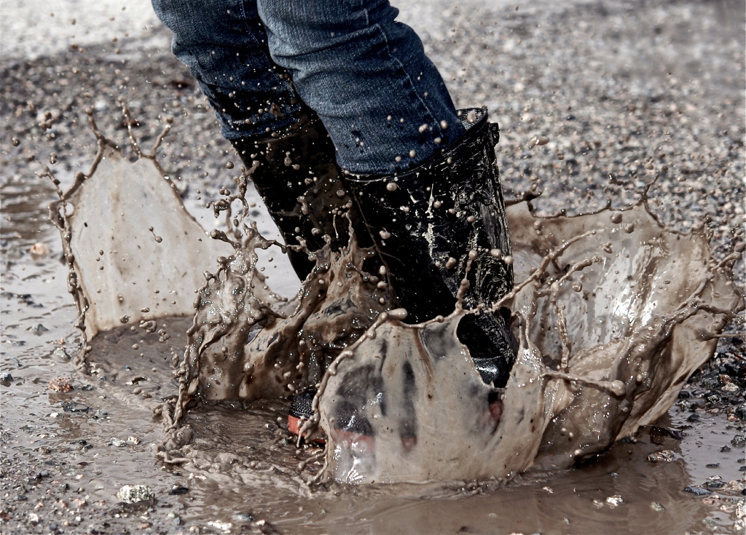 For illustration purposes only | Source: Shutterstock