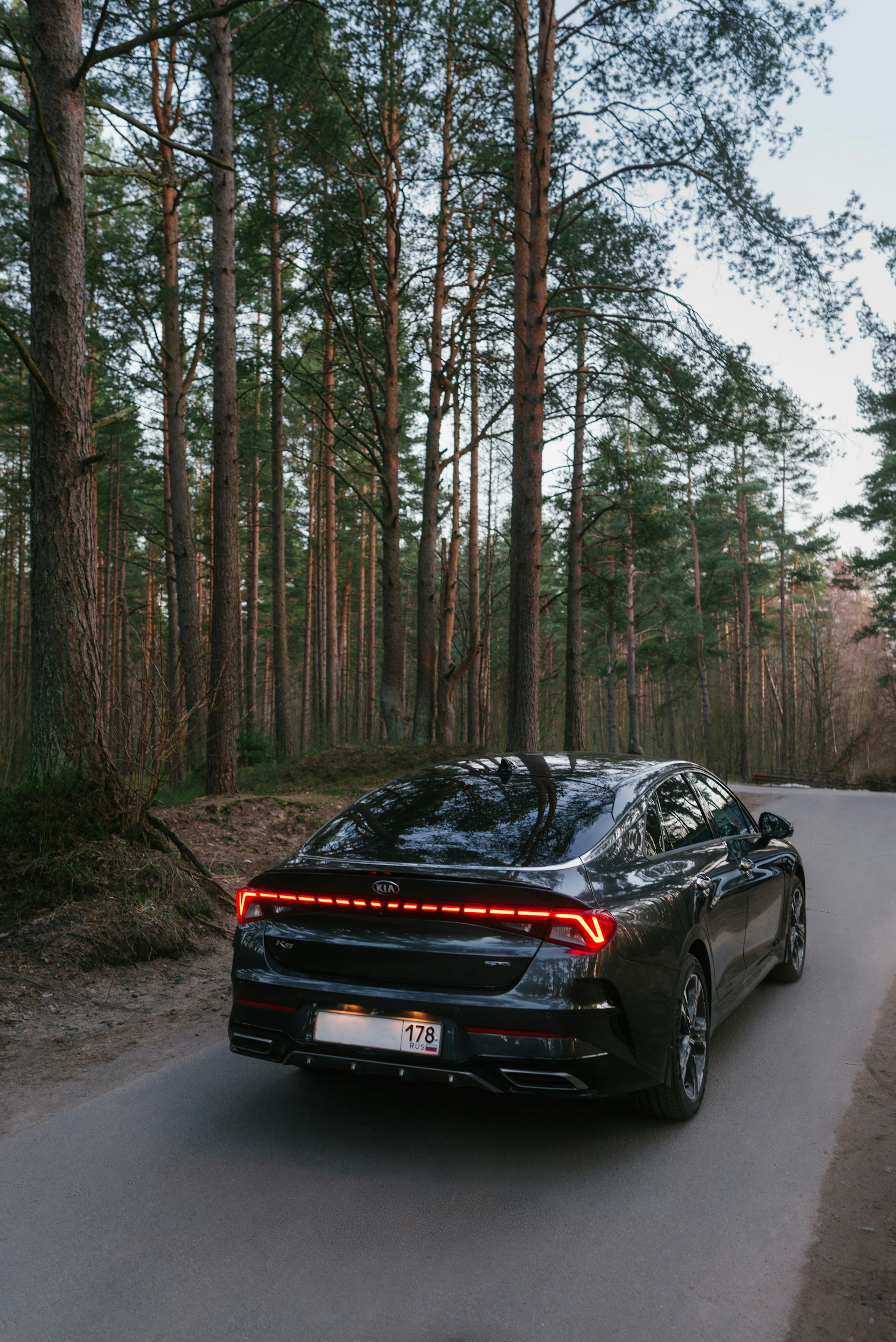 A black car passing by a tree-lined road | Source: Unsplash