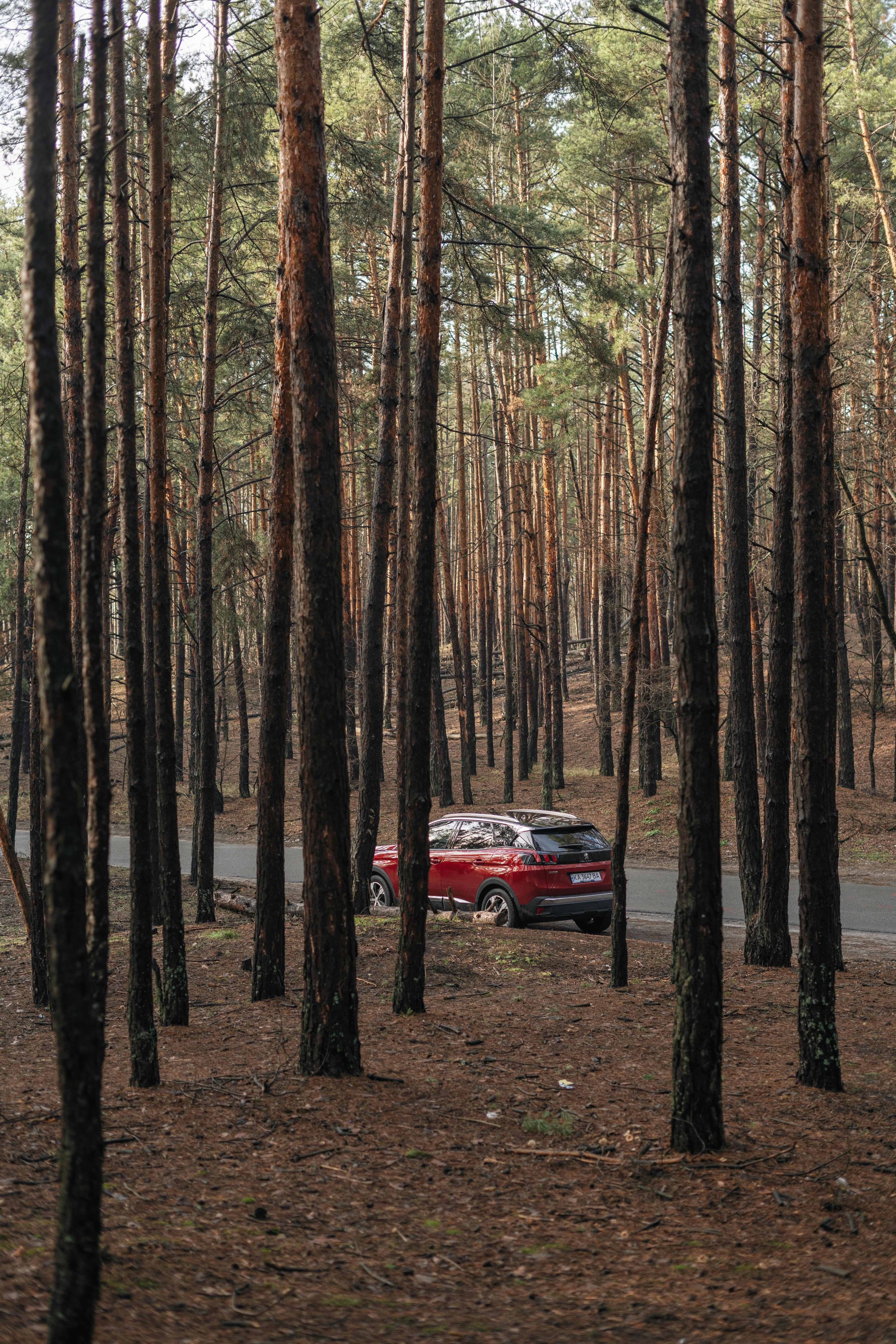 A car on the move | Source: Pexels