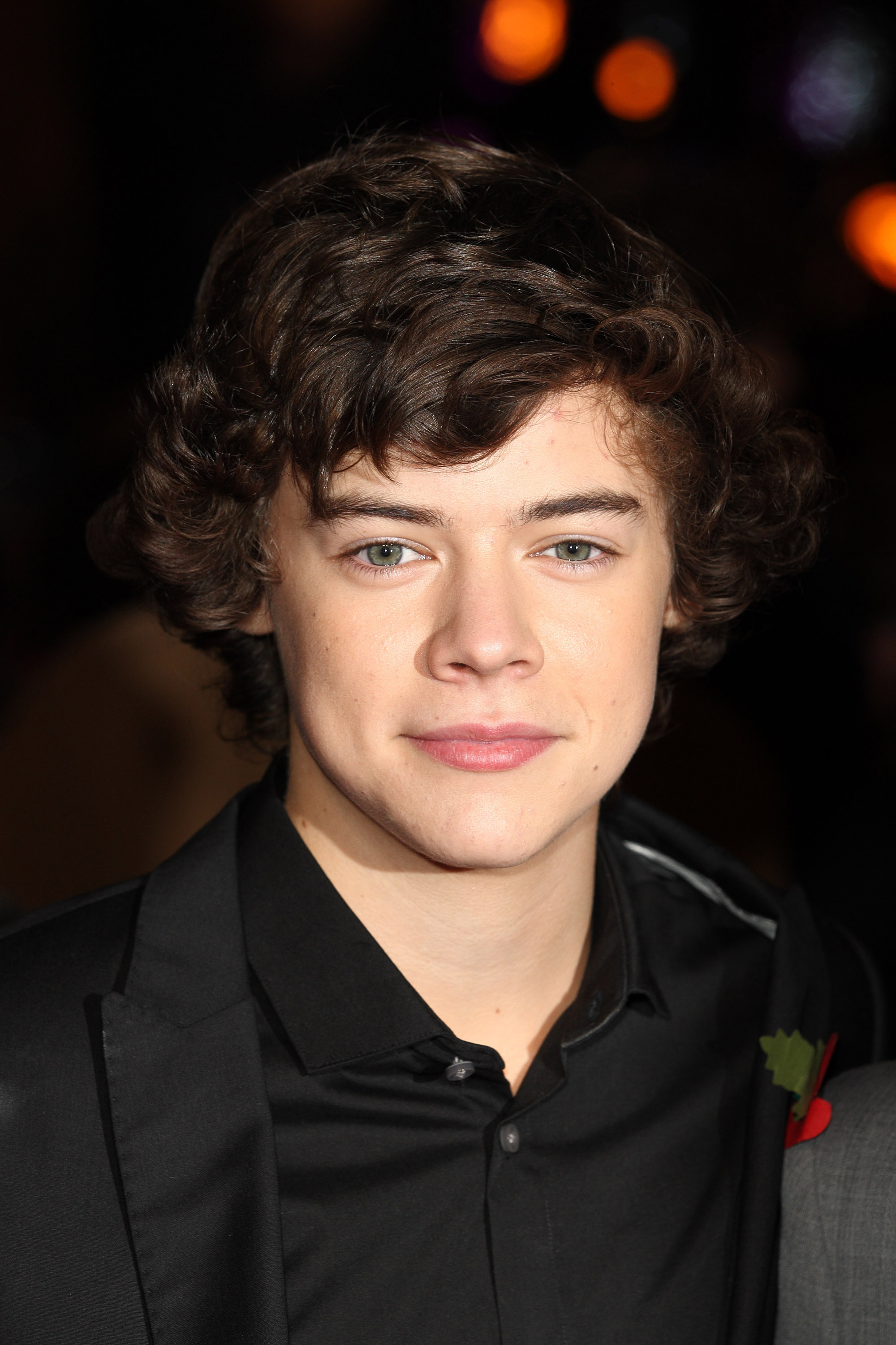 Harry Styles at the world premiere of "Harry Potter and the Deathly Hallows" on November 11, 2010, in London, England. | Source: Getty Images