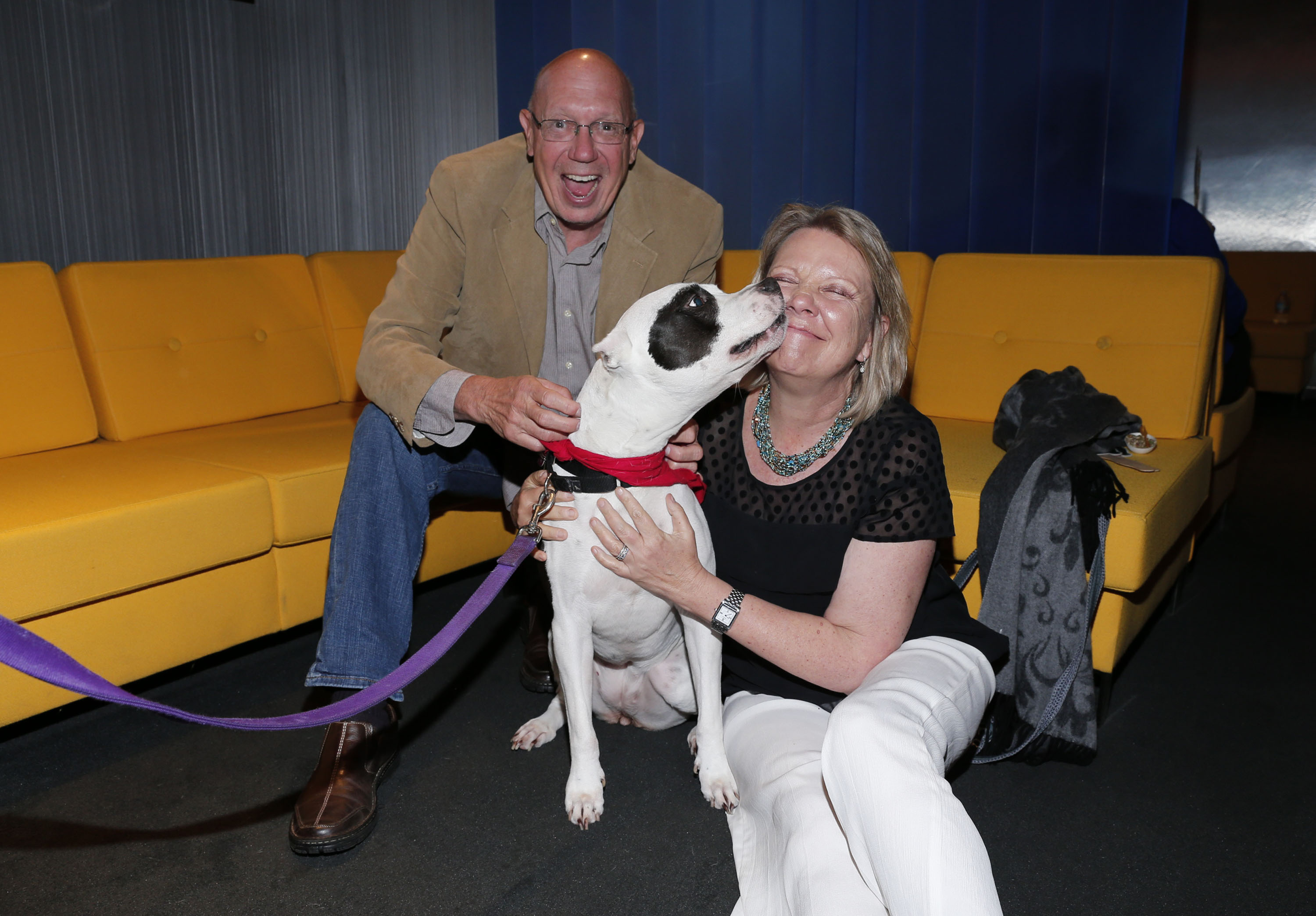 Dann and Karen Florek at "The Champions" documentary presentation on March 1, 2016, in West Hollywood, California. | Source: Getty Images