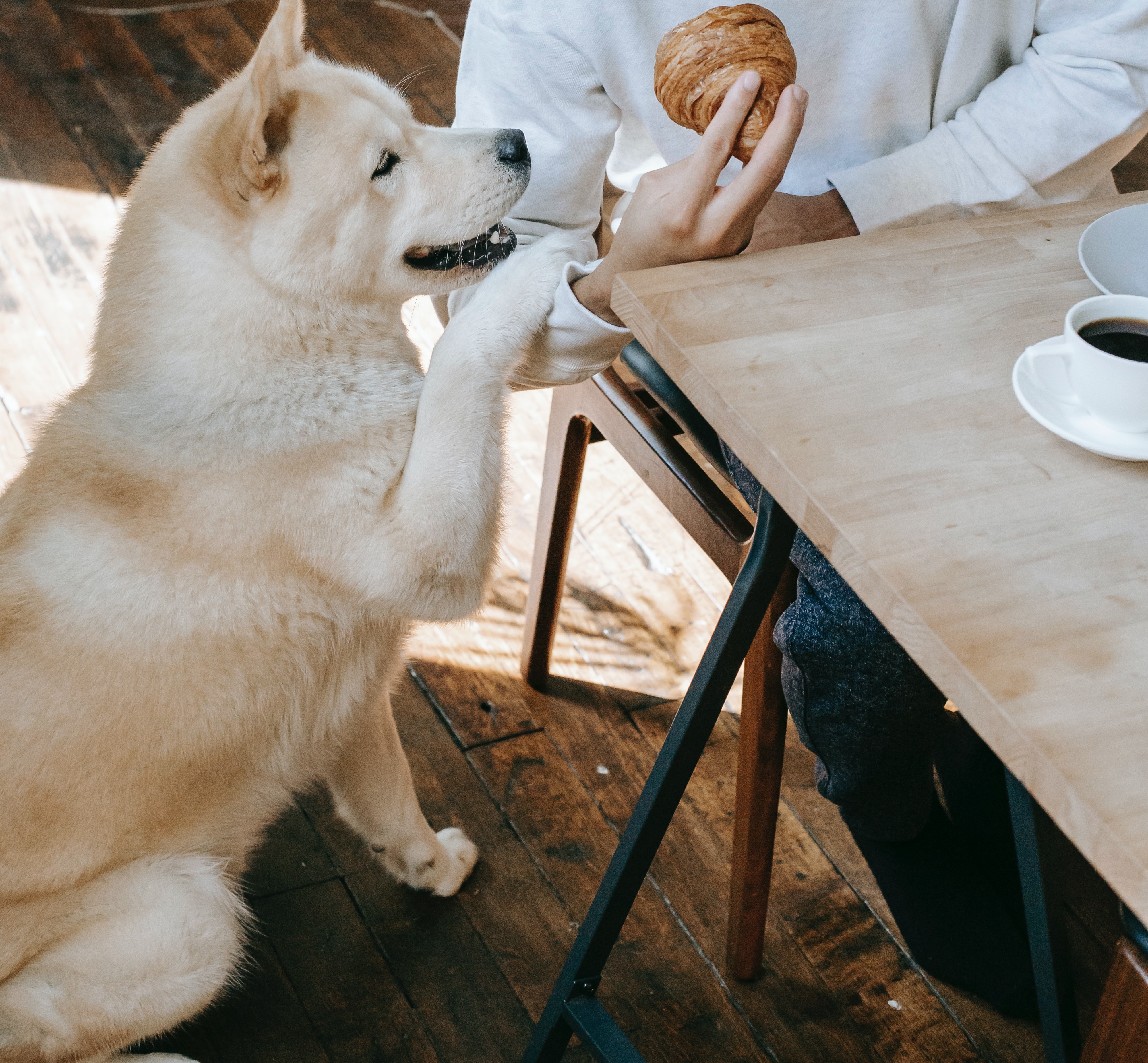 For illustration purposes only | Source: Pexels