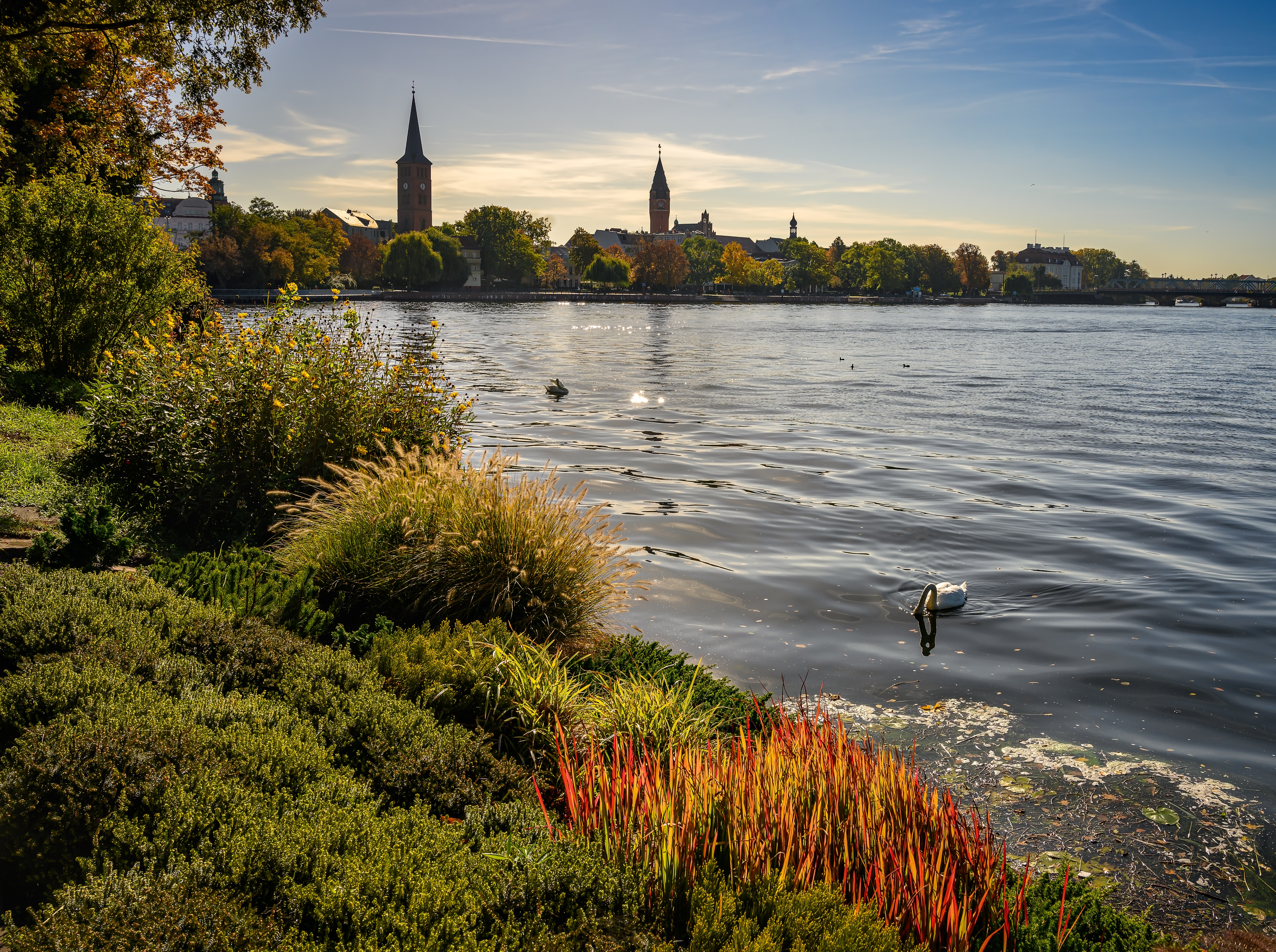 River | Source: Shutterstock