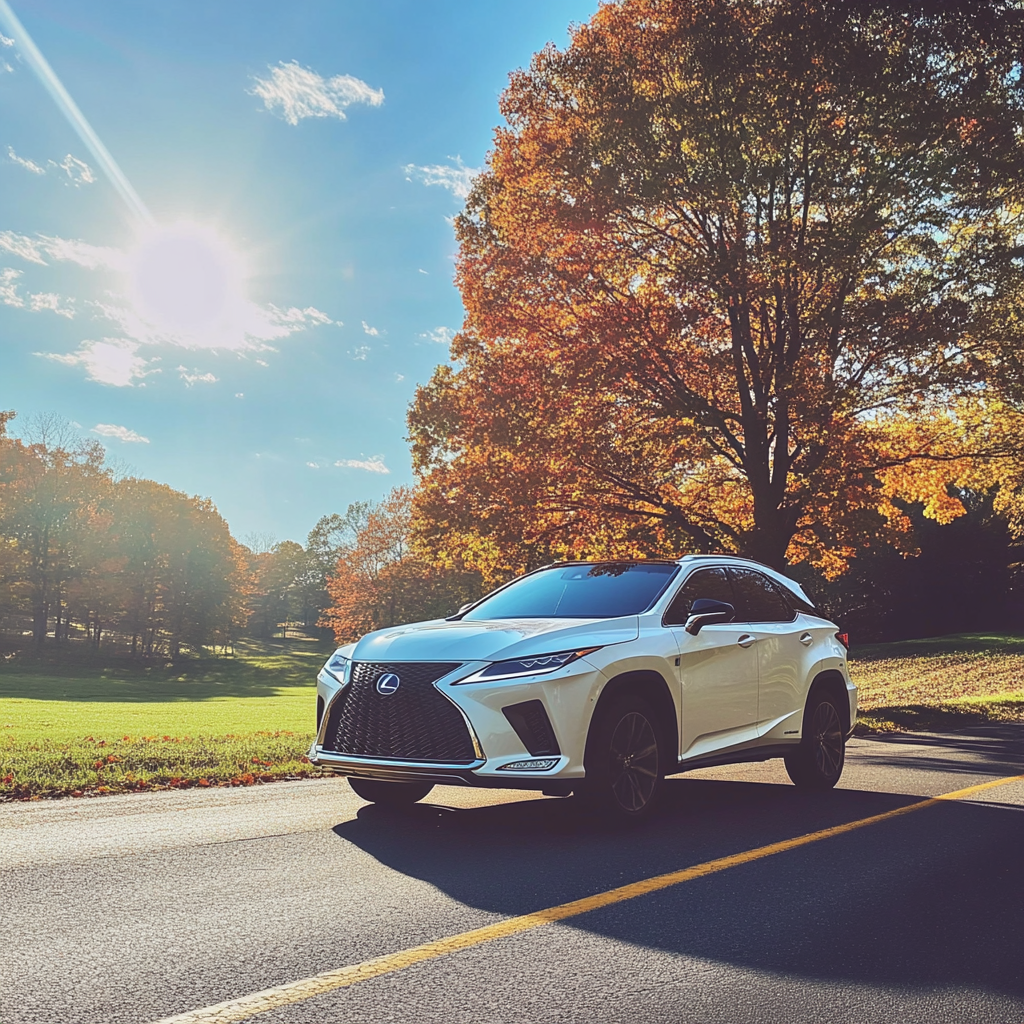 A car on the road | Source: No source