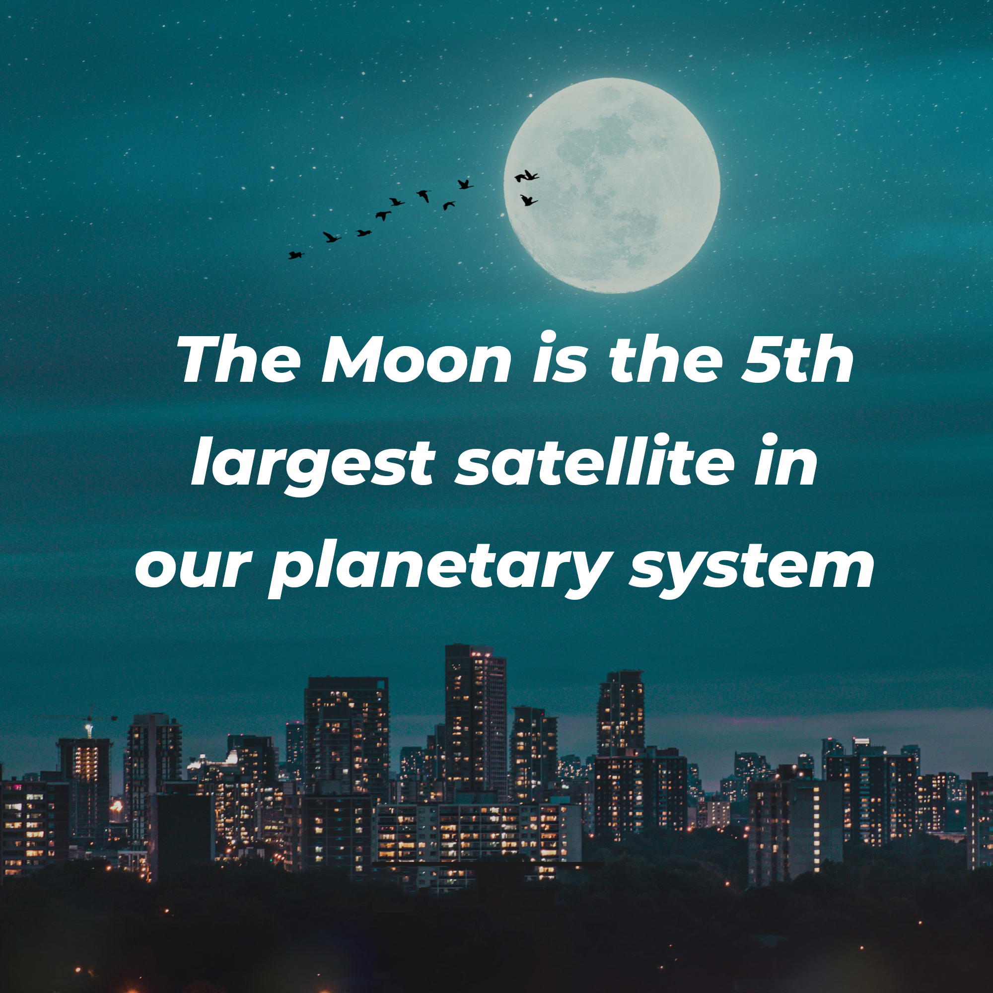 A picture of the moon shining over a city with overlaid text reading, “The Moon is the 5th largest satellite in our planetary system.” | Source: Unsplash