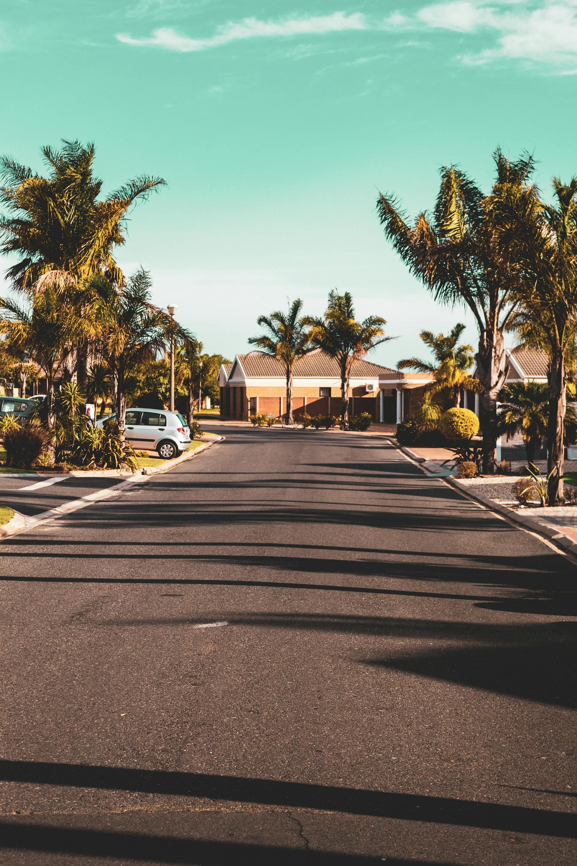 A neighborhood street | Source: Pexels