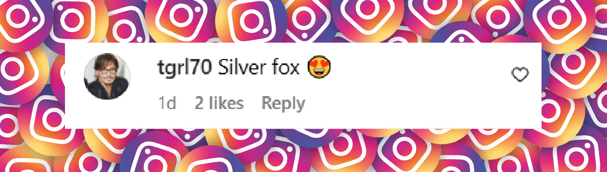 A comment about Johnny Depp posted on April 15, 2025. | Source: Instagram/Lionsgate/Johnny Depp