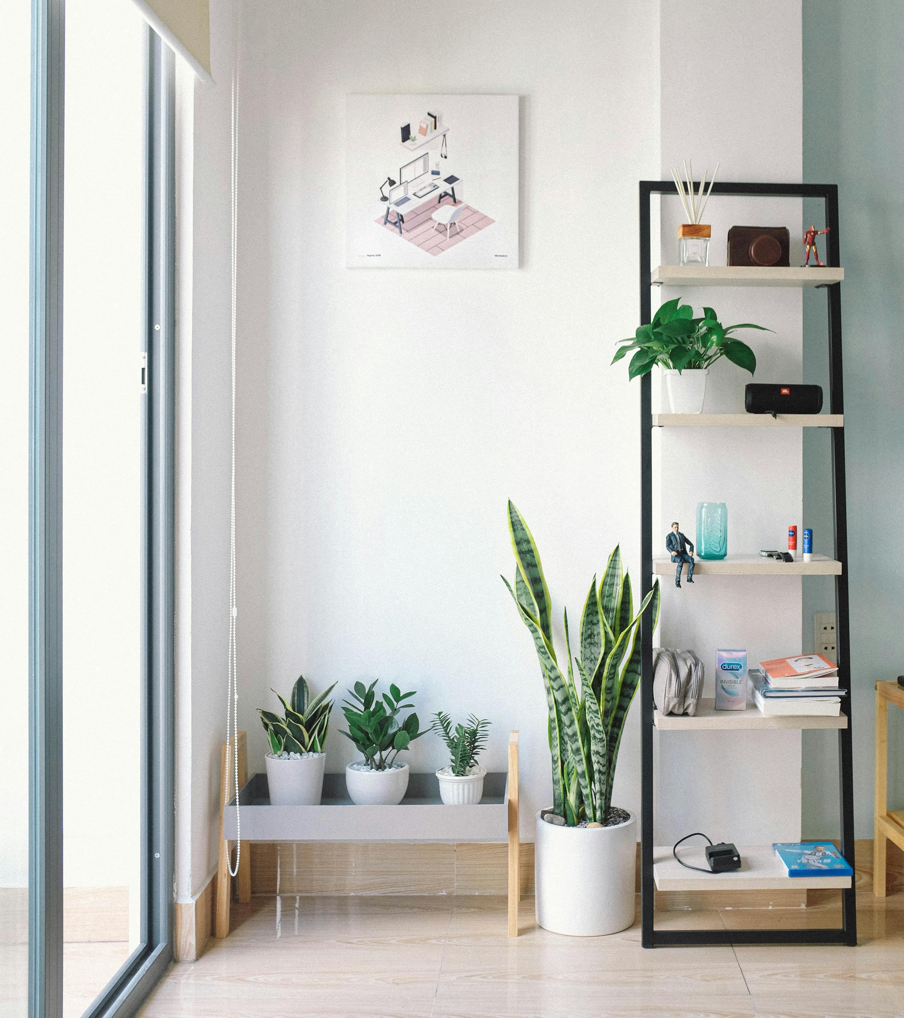 House plants next to a storage shelf | Source: Pexels