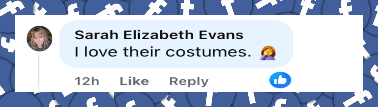 A netizen's comment about Donald and Melania Trump's outfits for the trick-or-treat event at the White House on October 30, 2025 | Source: Facebook/USA Today Video