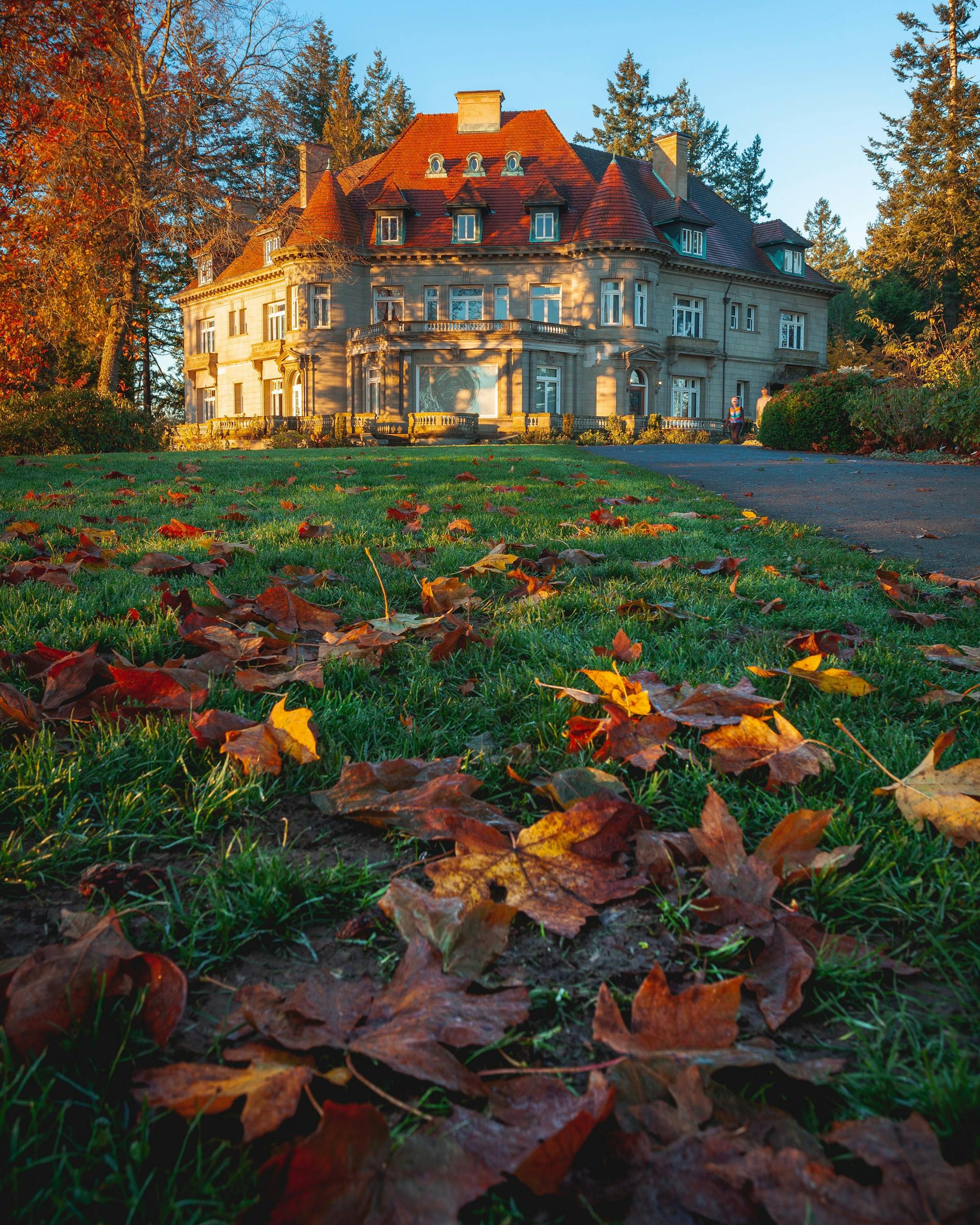 A big estate surrounded by trees | Source: Pexels