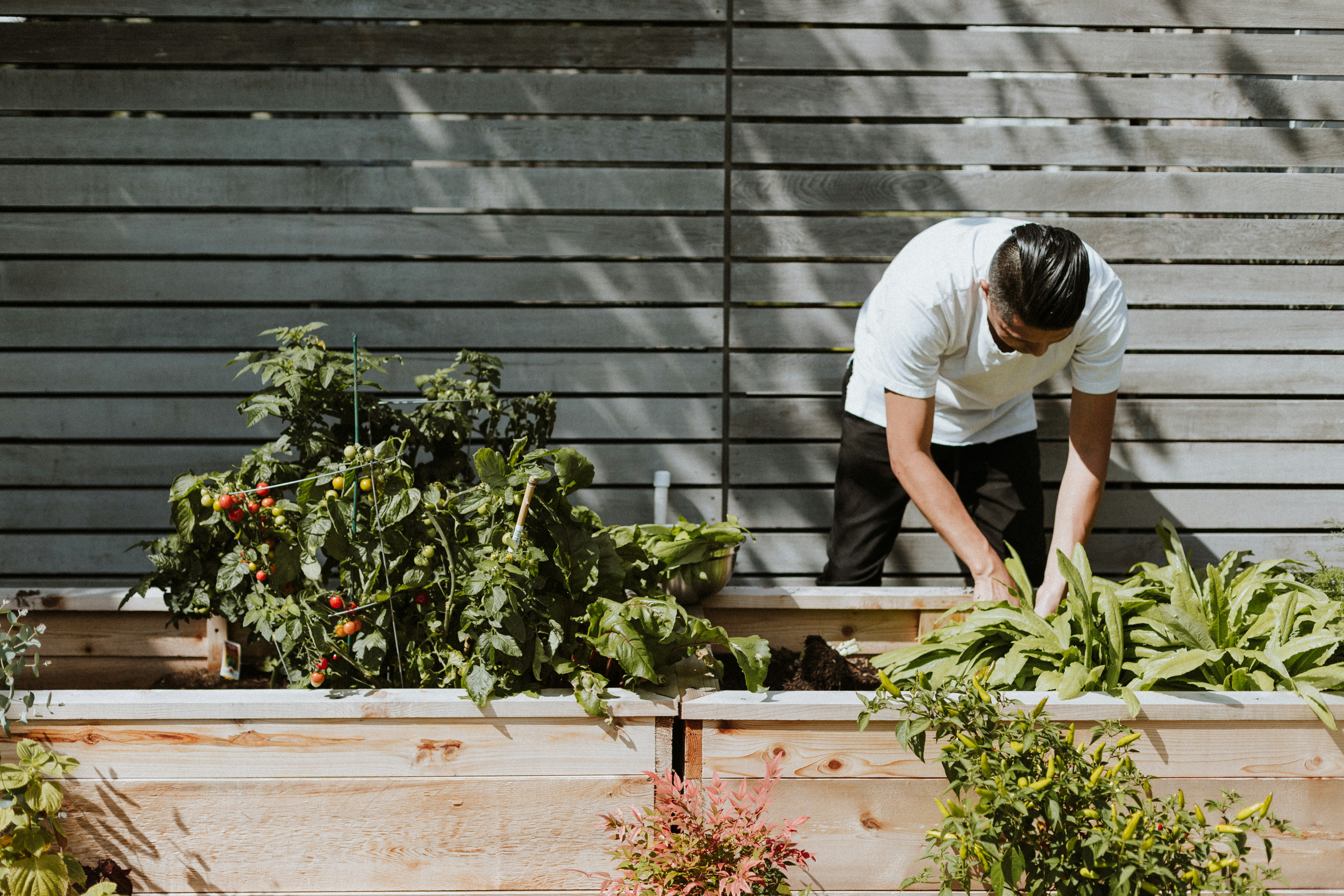 The Best Ways to Get Involved in Community Gardening Initiatives