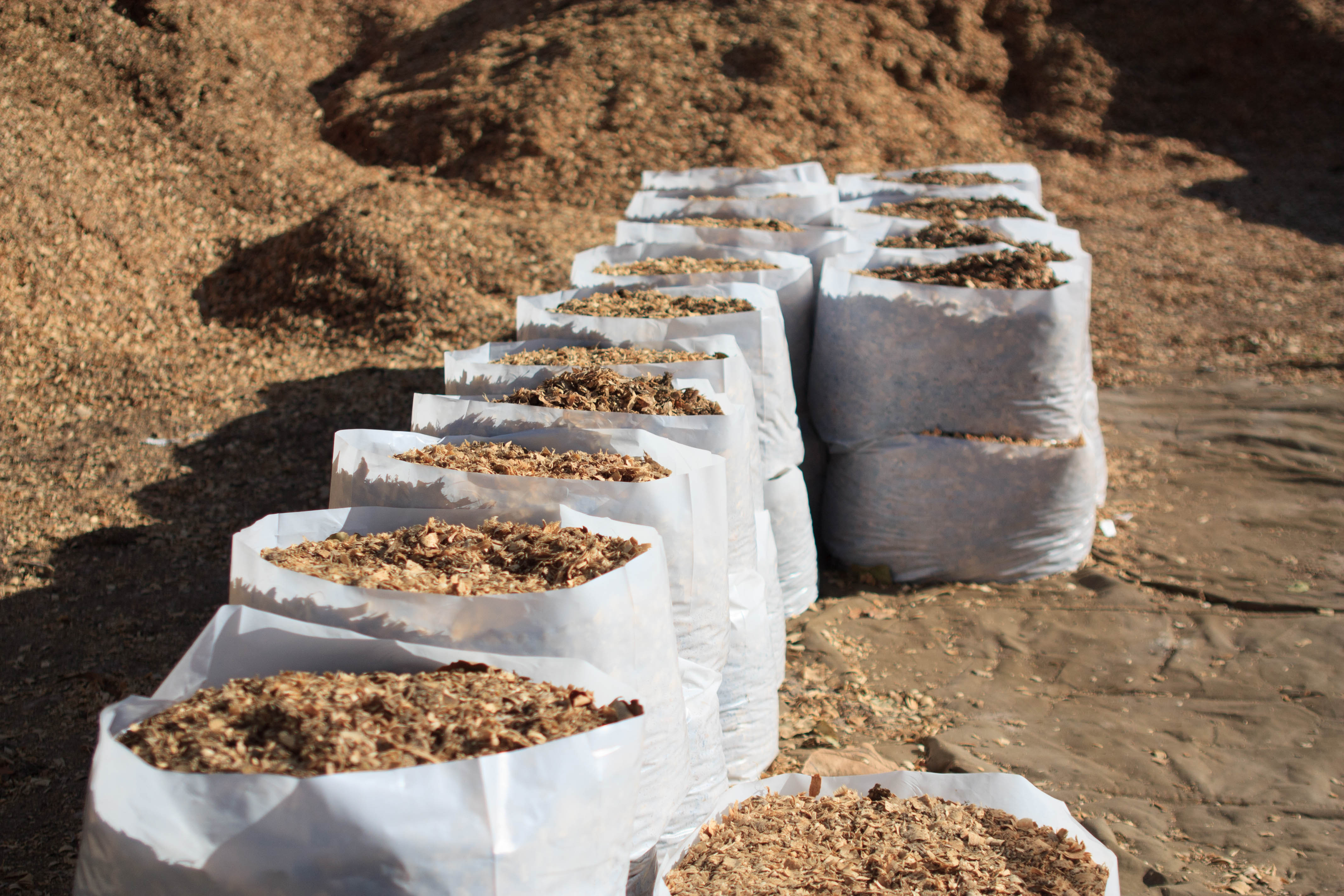 For illustration purposes only | Source: Shutterstock