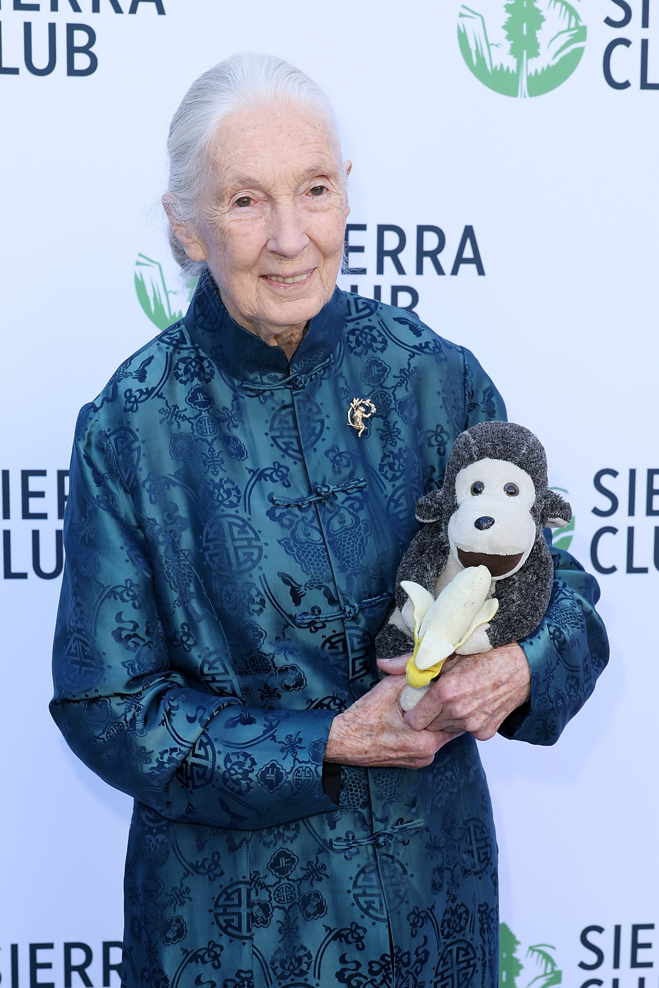 Jane Goodall at the Sierra Club's Trail Blazers Ball in Los Angeles  on April 2, 2025. | Source: Getty Images